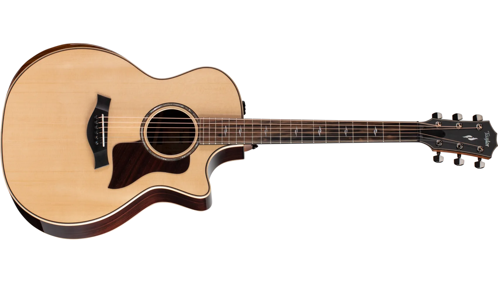 Taylor 800 Series Guitars at The Acoustic Shoppe