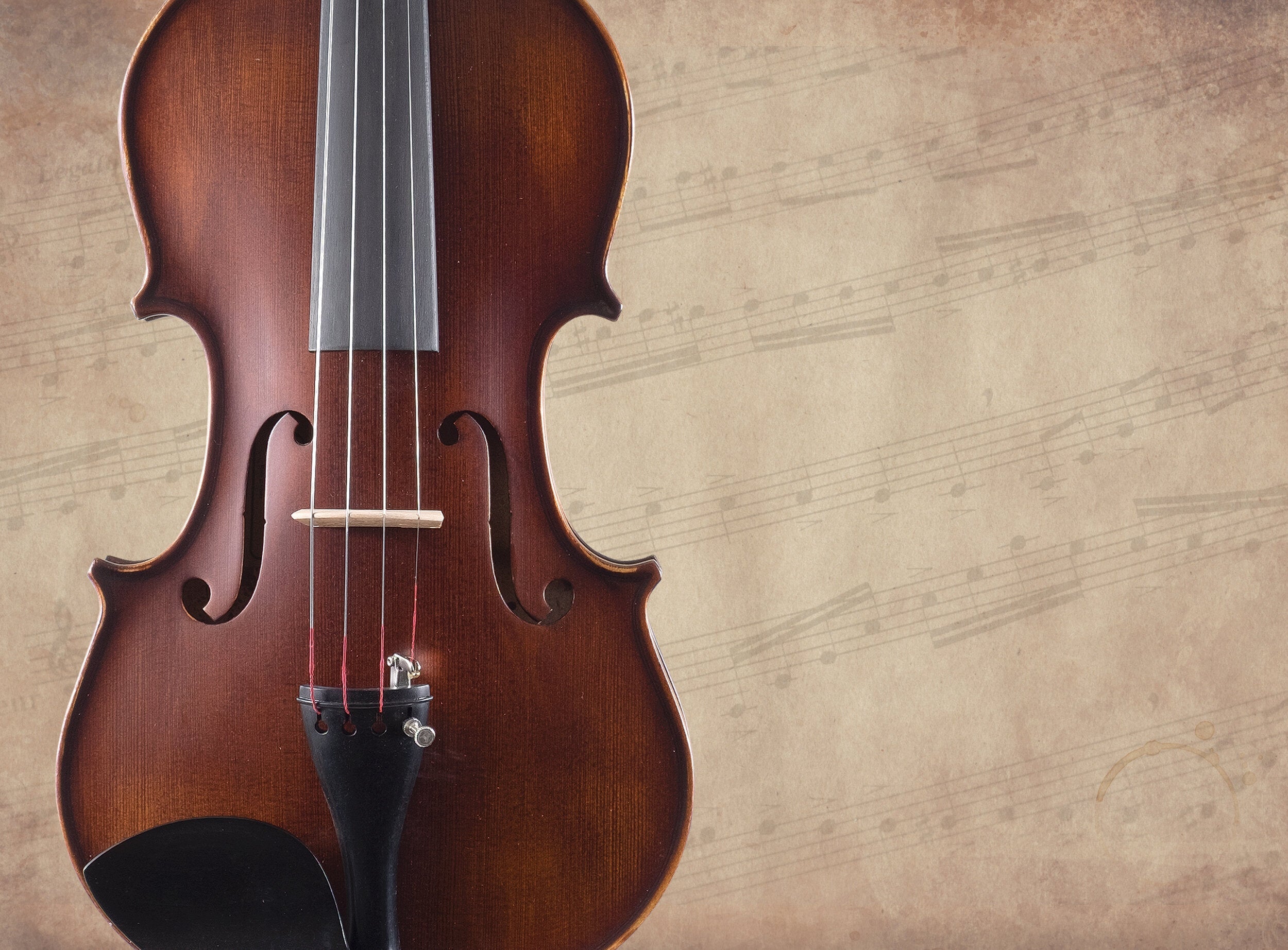Palatino Violins | The Acoustic Shoppe