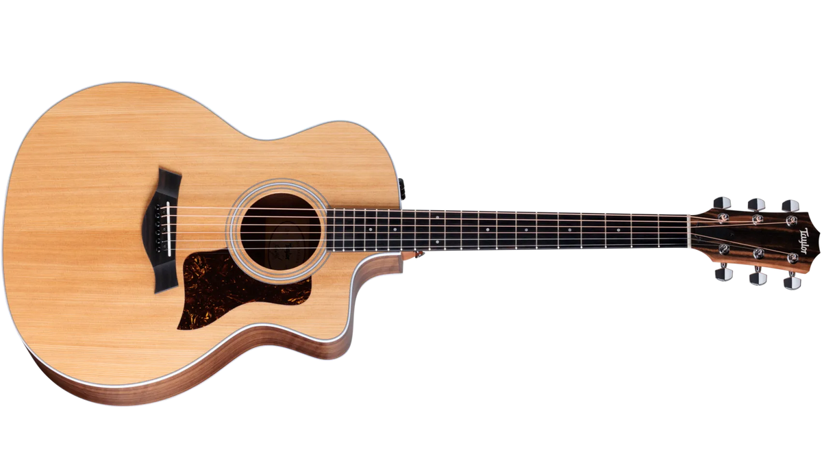 Taylor 214ce Grand Auditorium at The Acoustic Shoppe
