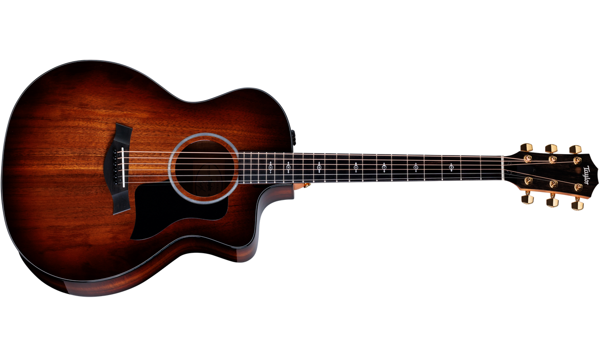 Taylor 224ce-K DLX Grand Auditorium at The Acoustic Shoppe