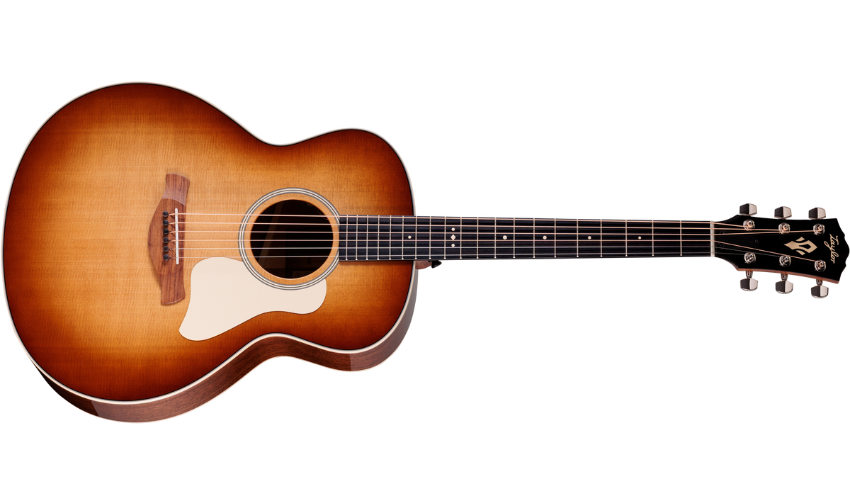 Taylor Gold Label 514e SB Super Auditorium at The Acoustic Shoppe