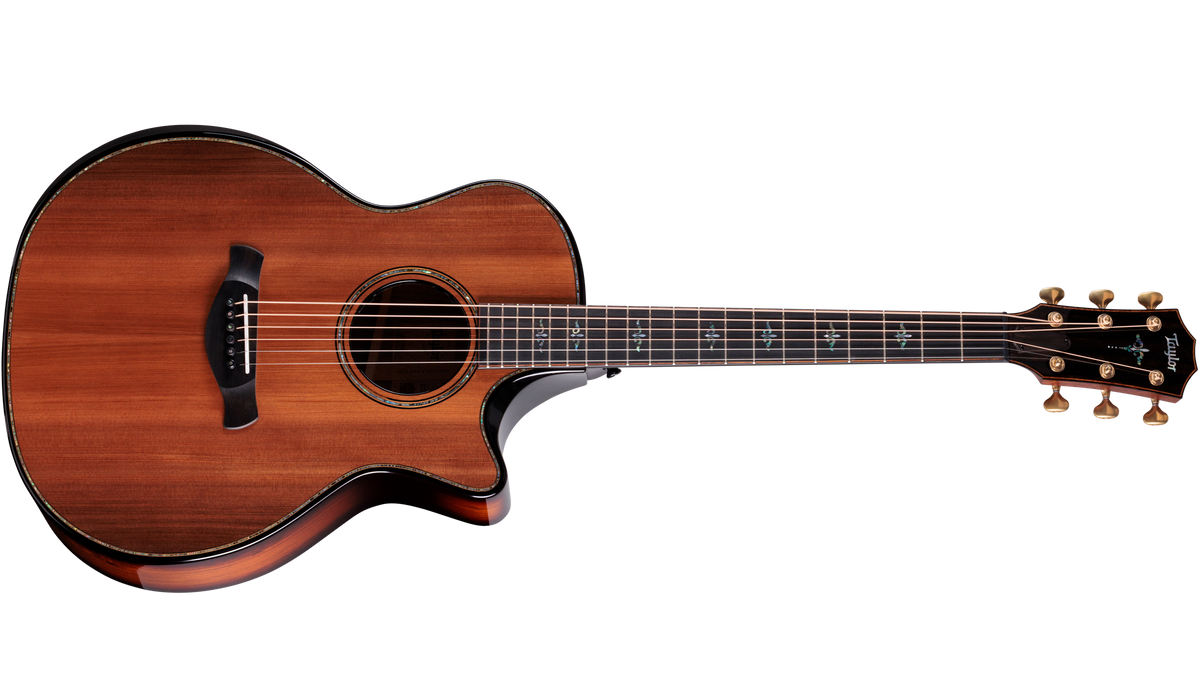 Taylor Builder's Edition 914ce Grand Auditorium at The Acoustic Shoppe