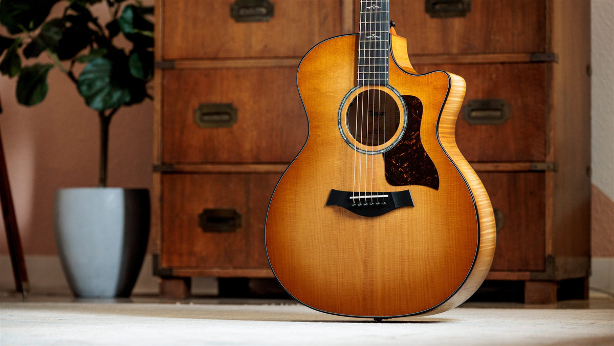 Taylor 600 Series lifestyle photo — Taylor 614ce in a warm interior setting, The Acoustic Shoppe