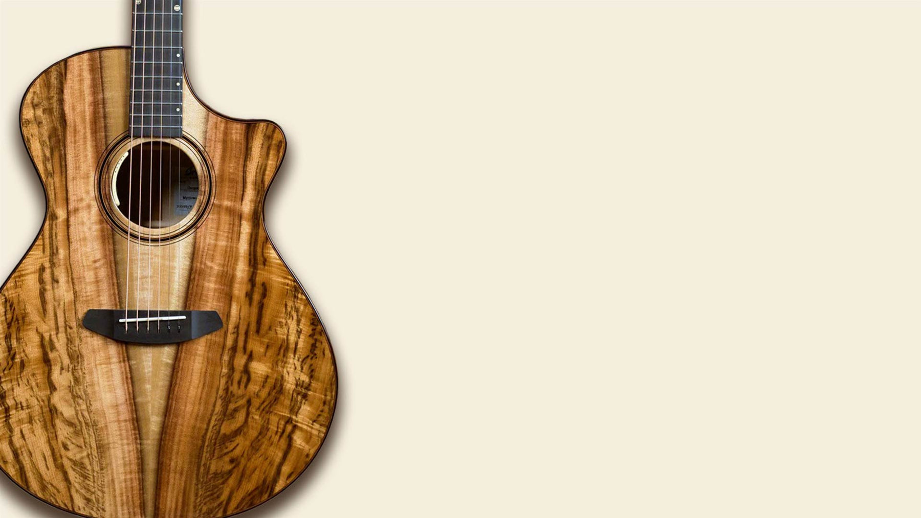 Shop Acoustic Guitars, Mandolins, Banjos & More | The Acoustic Shoppe