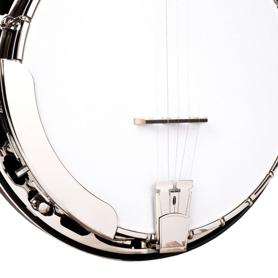 *Pre-Order Deposit Only* Gold Tone BG-175F Mastertone Bluegrass Banjo with Flange