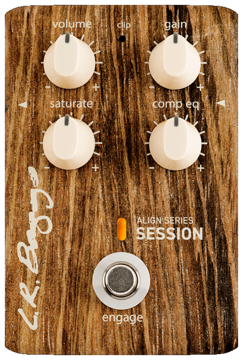 L.R. Baggs Align Session