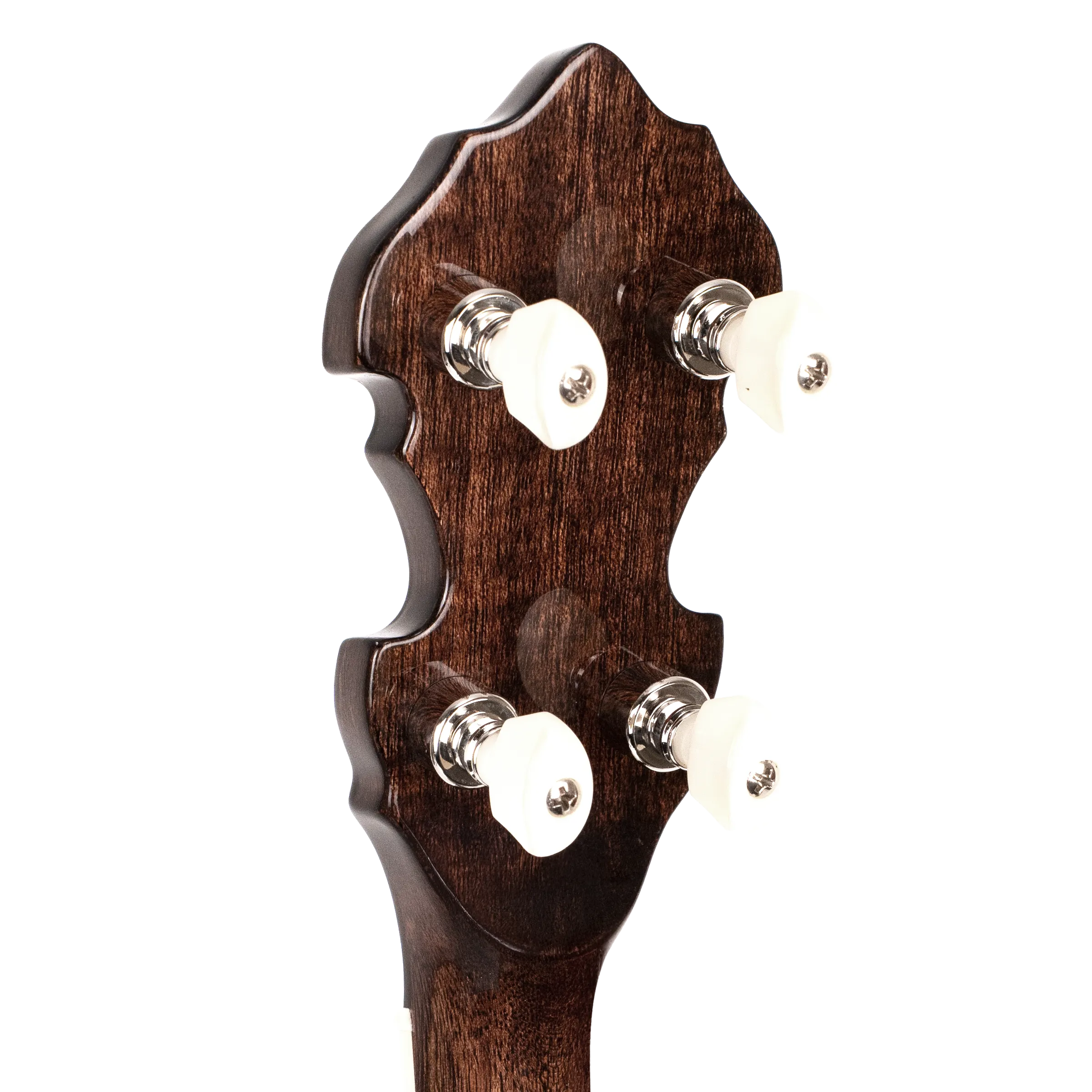 *Pre-Order Deposit Only* Gold Tone BG-175F Mastertone Bluegrass Banjo with Flange