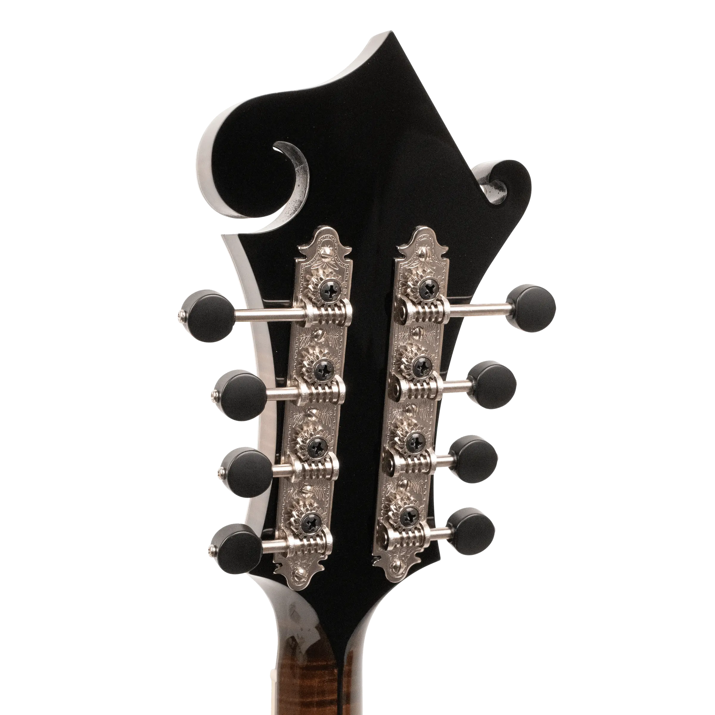 *Pre-Order Deposit ONLY* Gold Tone Grandmaster Mandolin Elite - Vintage Leather Finish