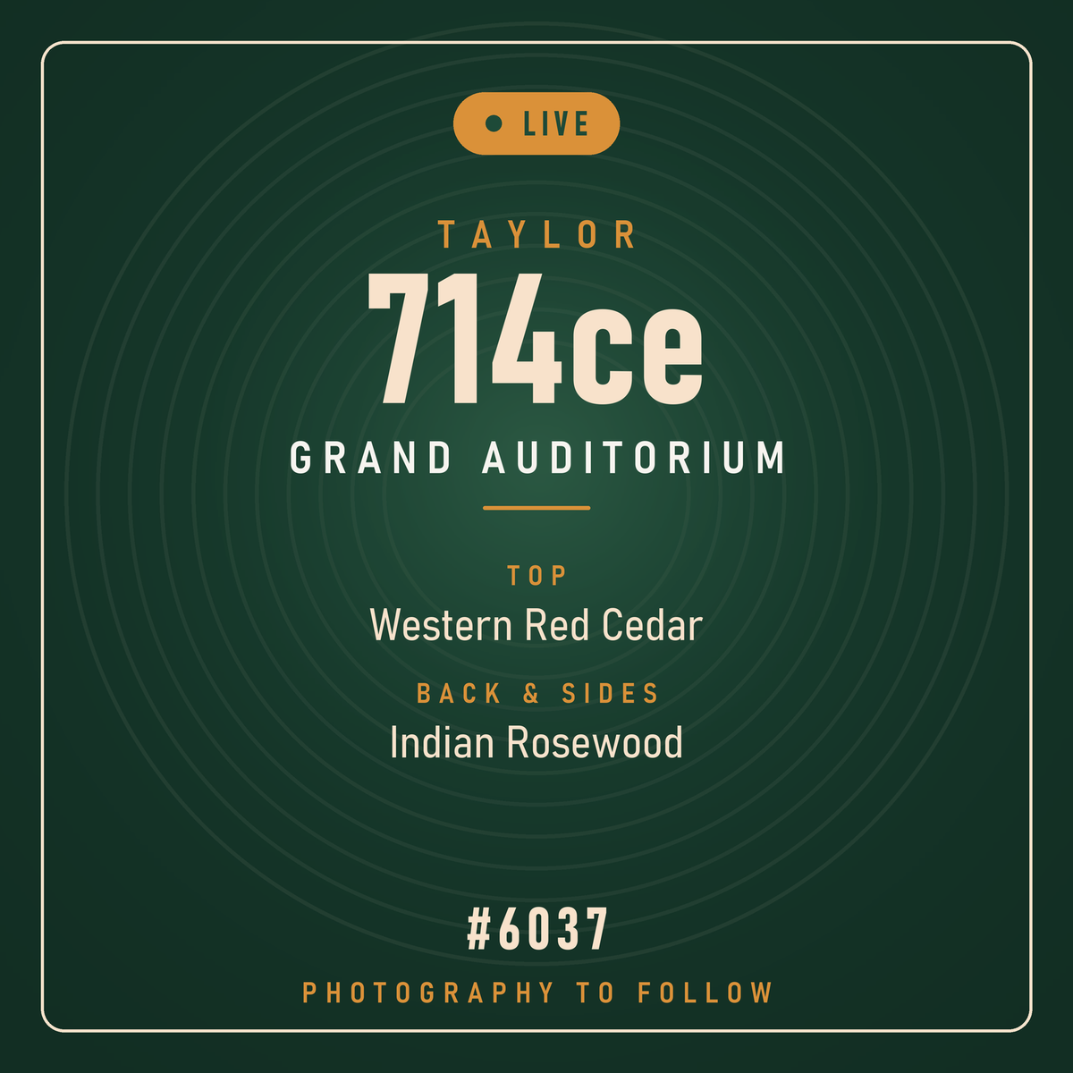Taylor 714ce Grand Auditorium #6037 - Live Unboxing placeholder, photography to follow