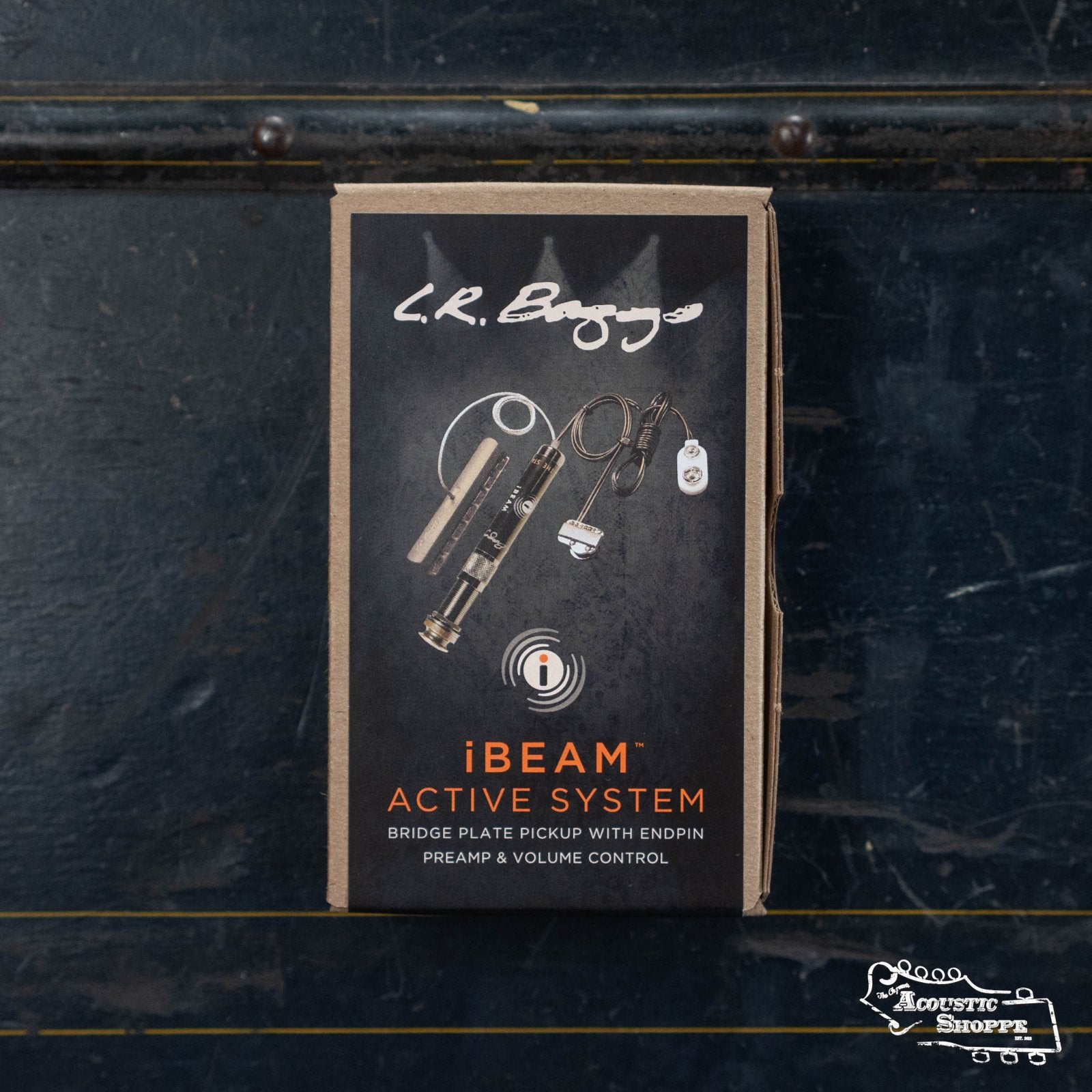 L.R. Baggs iBeam Active System