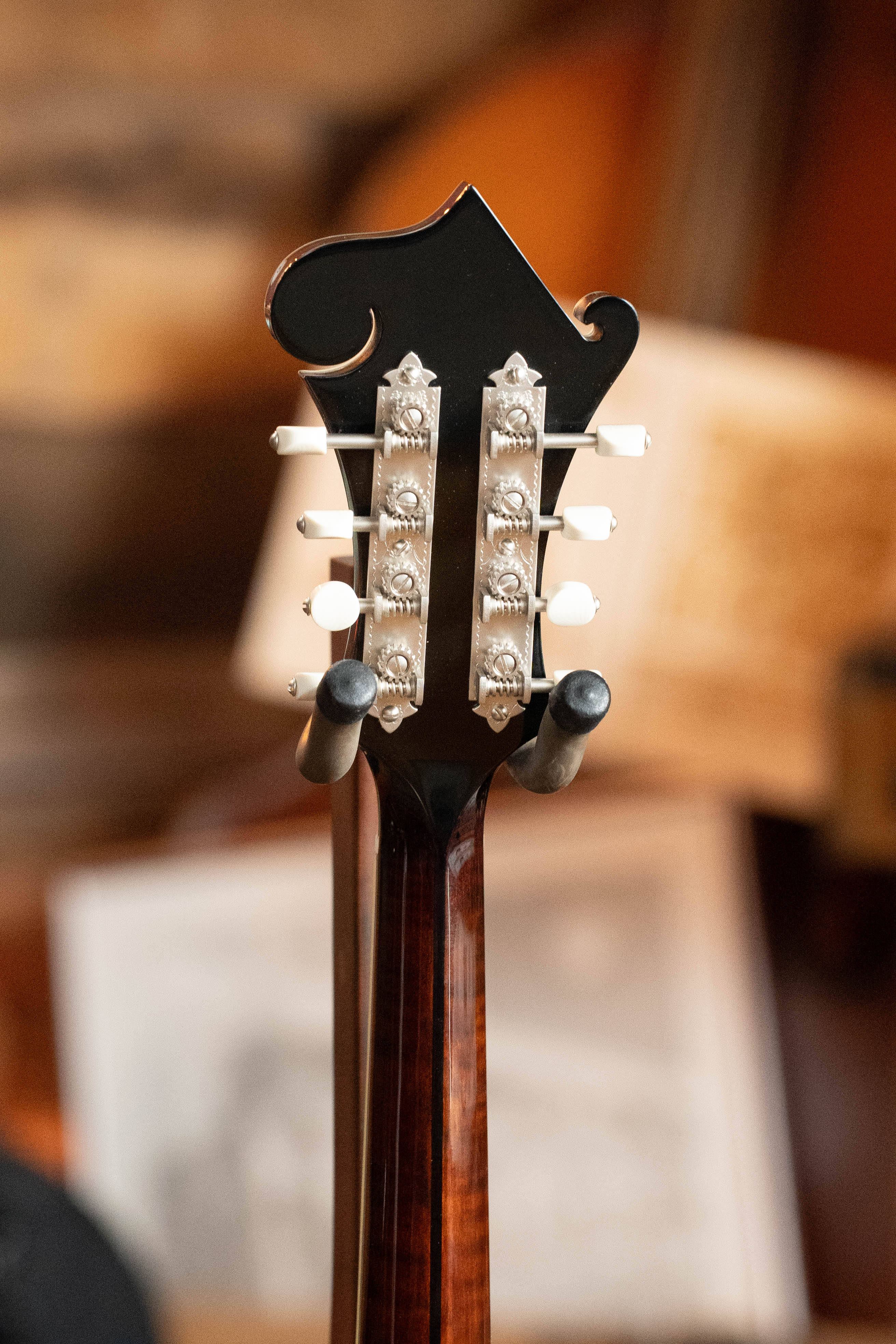 Bourgeois Limited Chocolate M5-F-BT Aged-Tone Adirondack/Maple Black Top F-Style Mandolin #6108