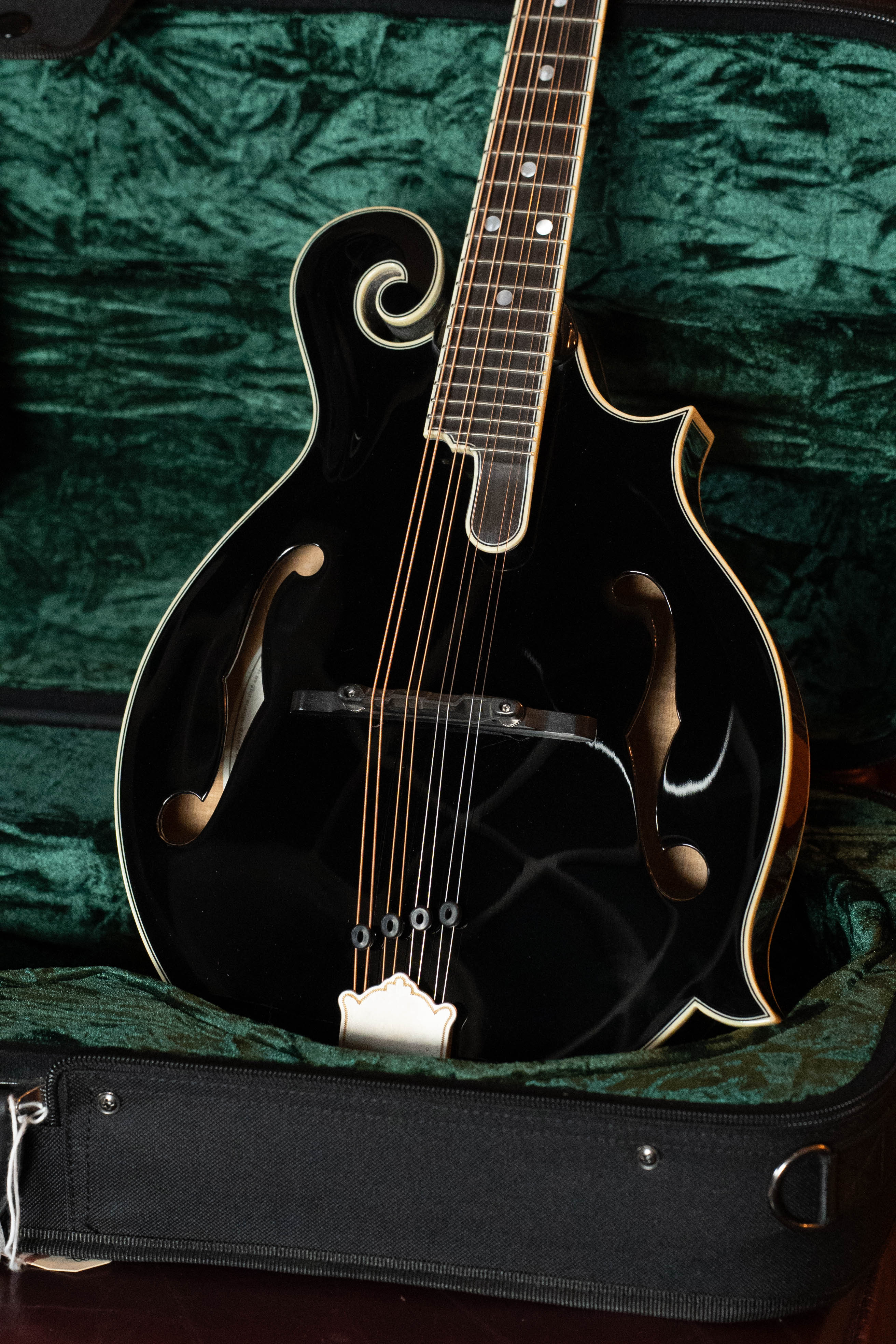 Bourgeois Limited Chocolate M5-F-BT Aged-Tone Adirondack/Maple Black Top F-Style Mandolin #6108