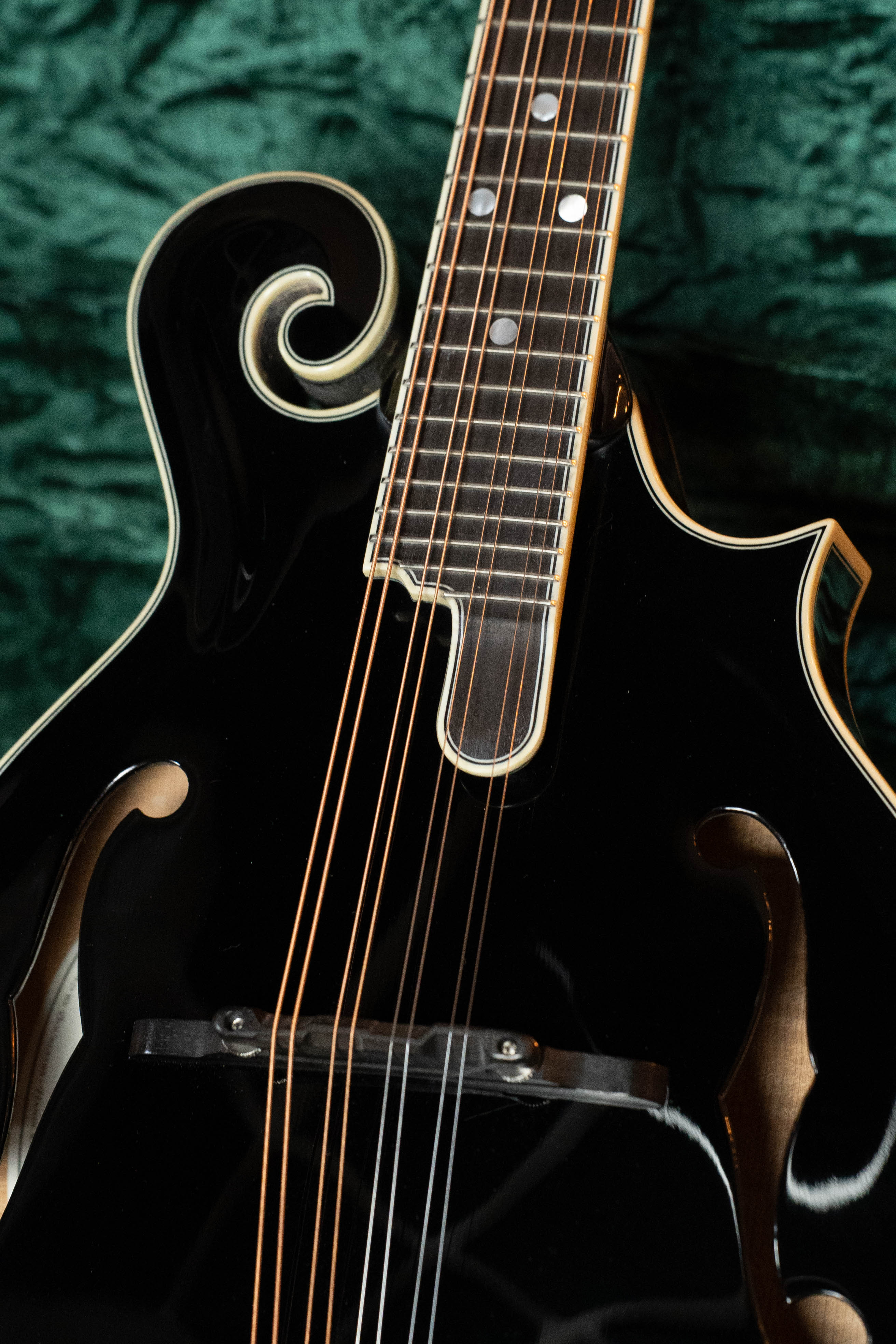 Bourgeois Limited Chocolate M5-F-BT Aged-Tone Adirondack/Maple Black Top F-Style Mandolin #6108