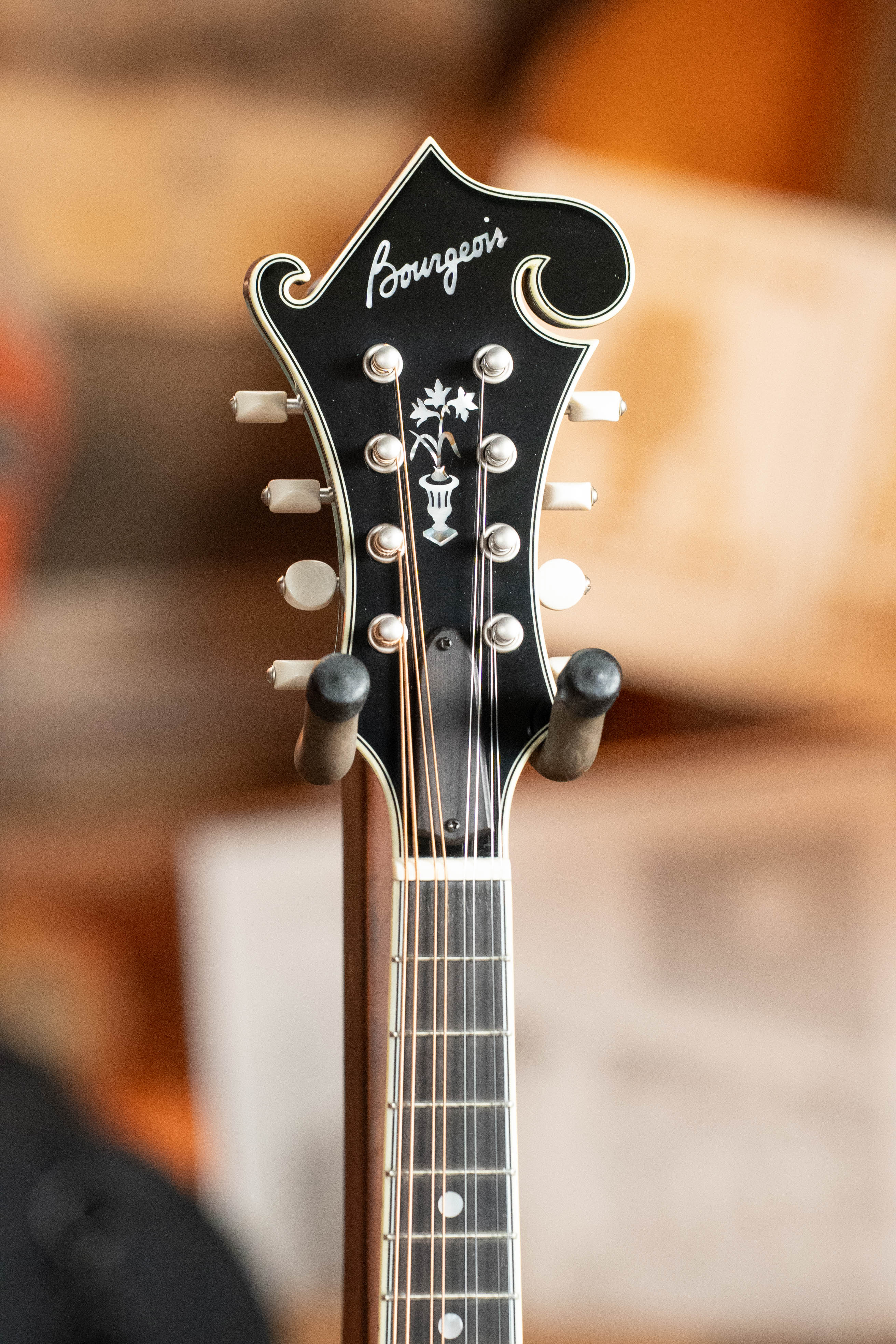 Bourgeois Limited Chocolate M5-F-BT Aged-Tone Adirondack/Maple Black Top F-Style Mandolin #6108