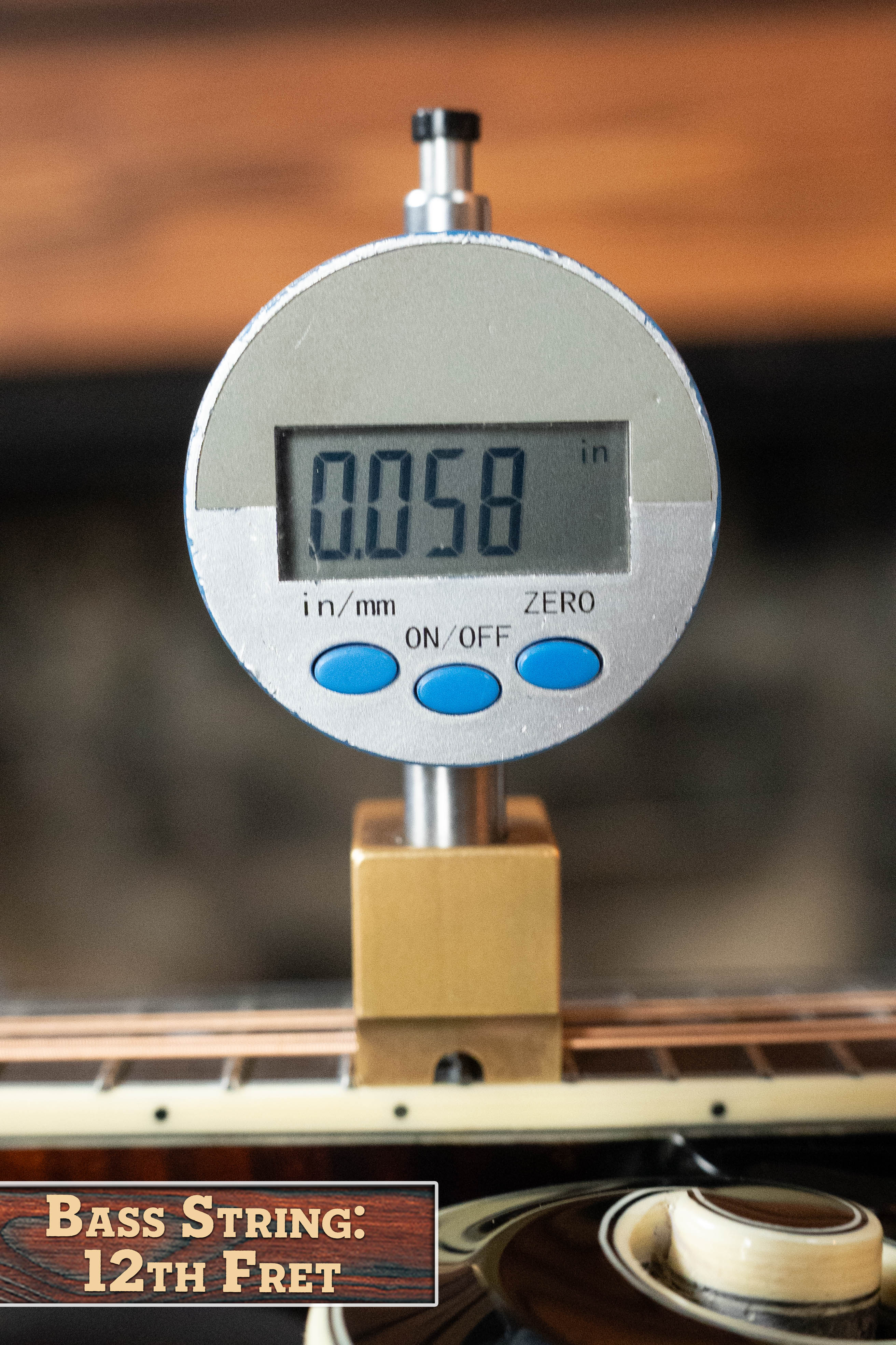 Bourgeois Limited Chocolate M5-F-BT Aged-Tone Adirondack/Maple Black Top F-Style Mandolin #6108