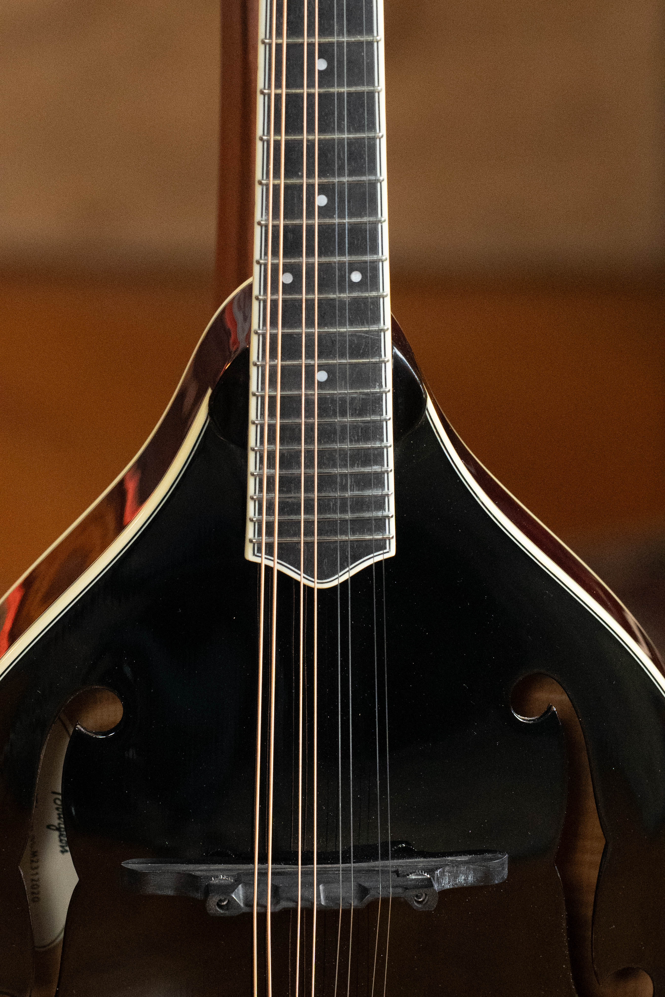 Bourgeois M5-A-BT Aged-Tone Black Top A-Style Mandolin #2020