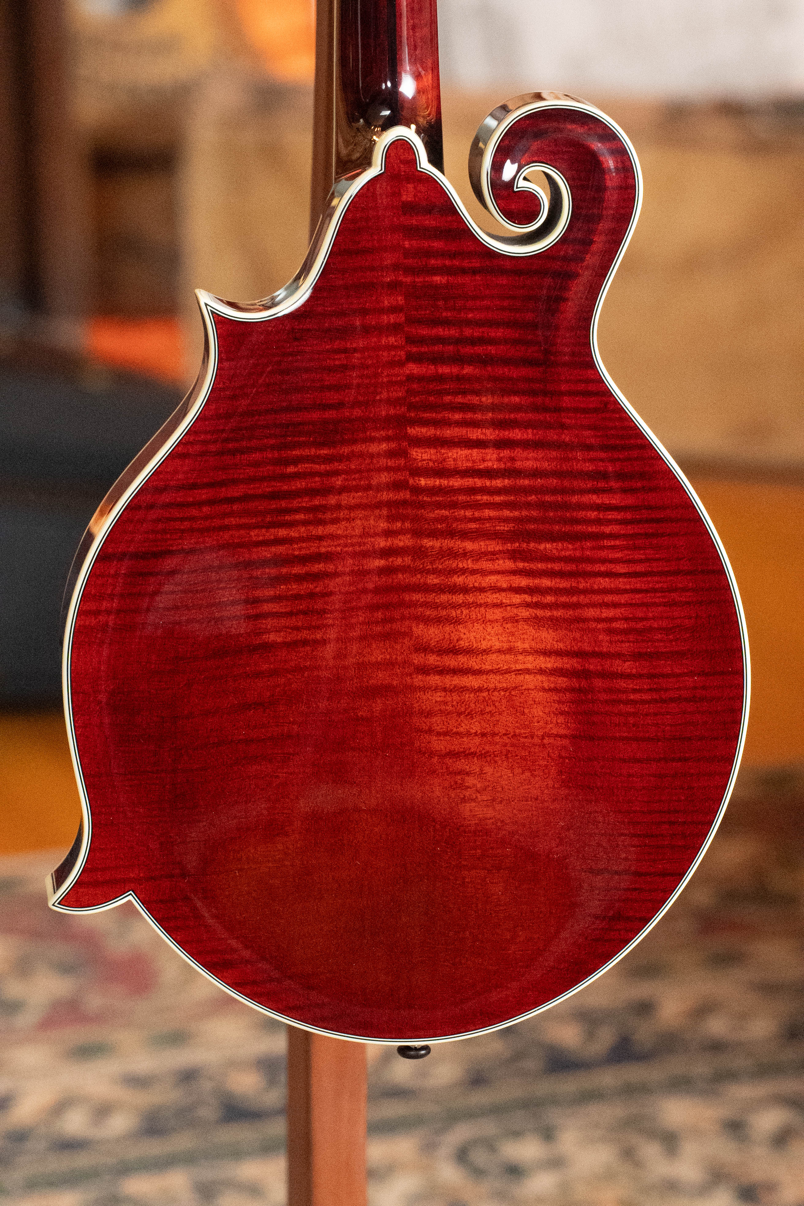 Bourgeois M5-F-BT Aged-Tone Adirondack/Maple Black Top F-Style Mandolin #6114