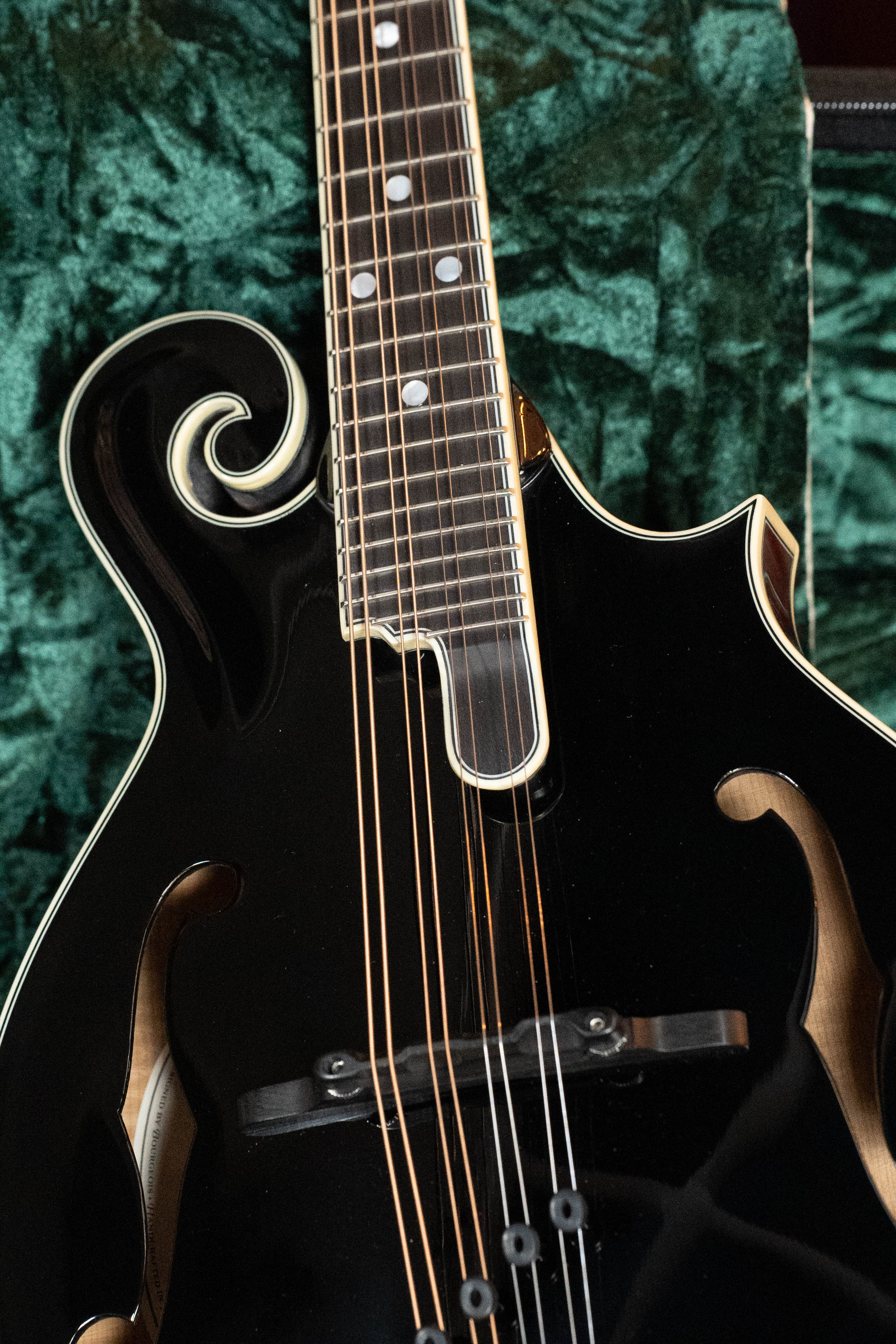 Bourgeois M5-F-BT Aged-Tone Adirondack/Maple Black Top F-Style Mandolin #6114