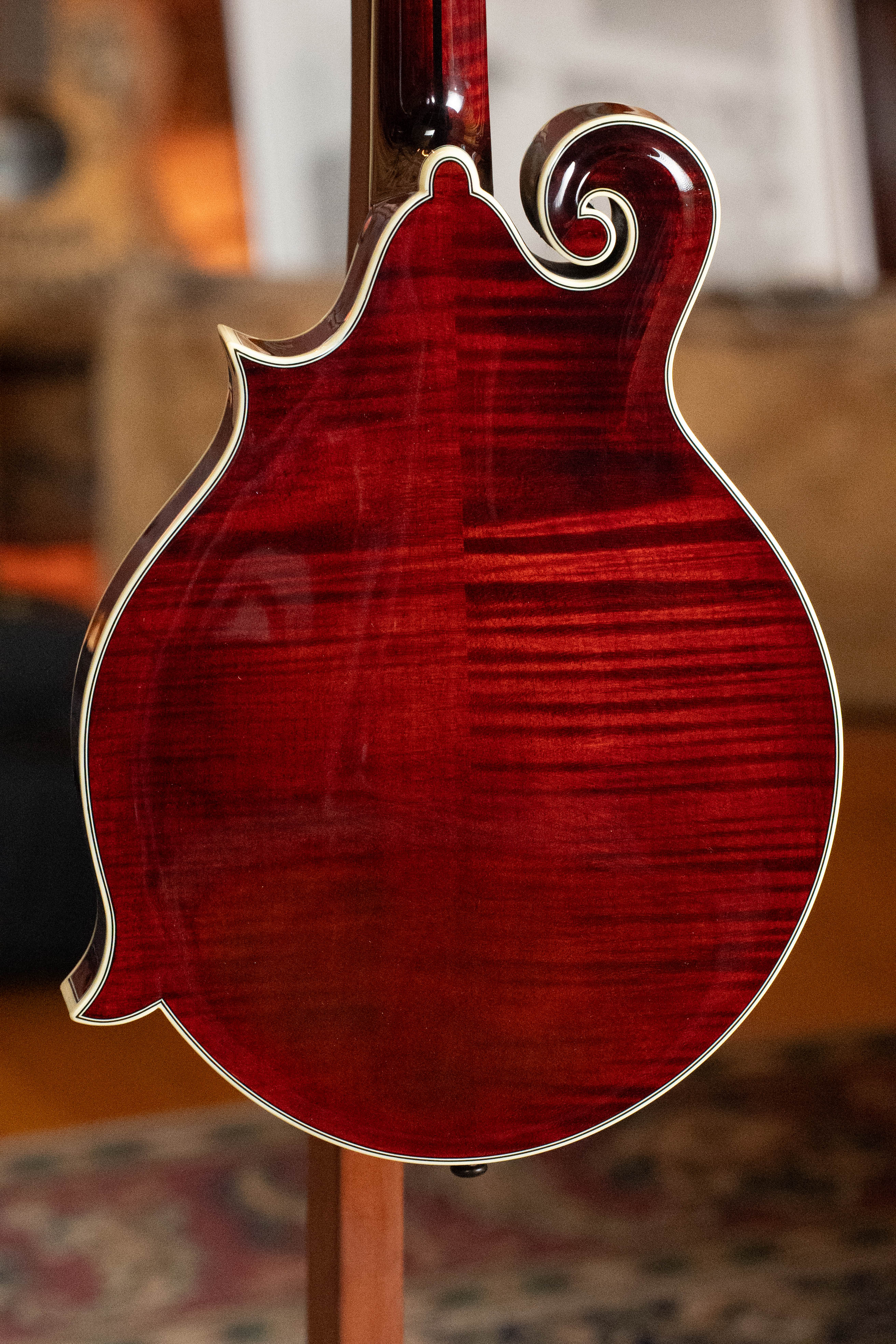 Bourgeois M5-F-BT Aged-Tone Adirondack/Maple Black Top F-Style Mandolin #6117