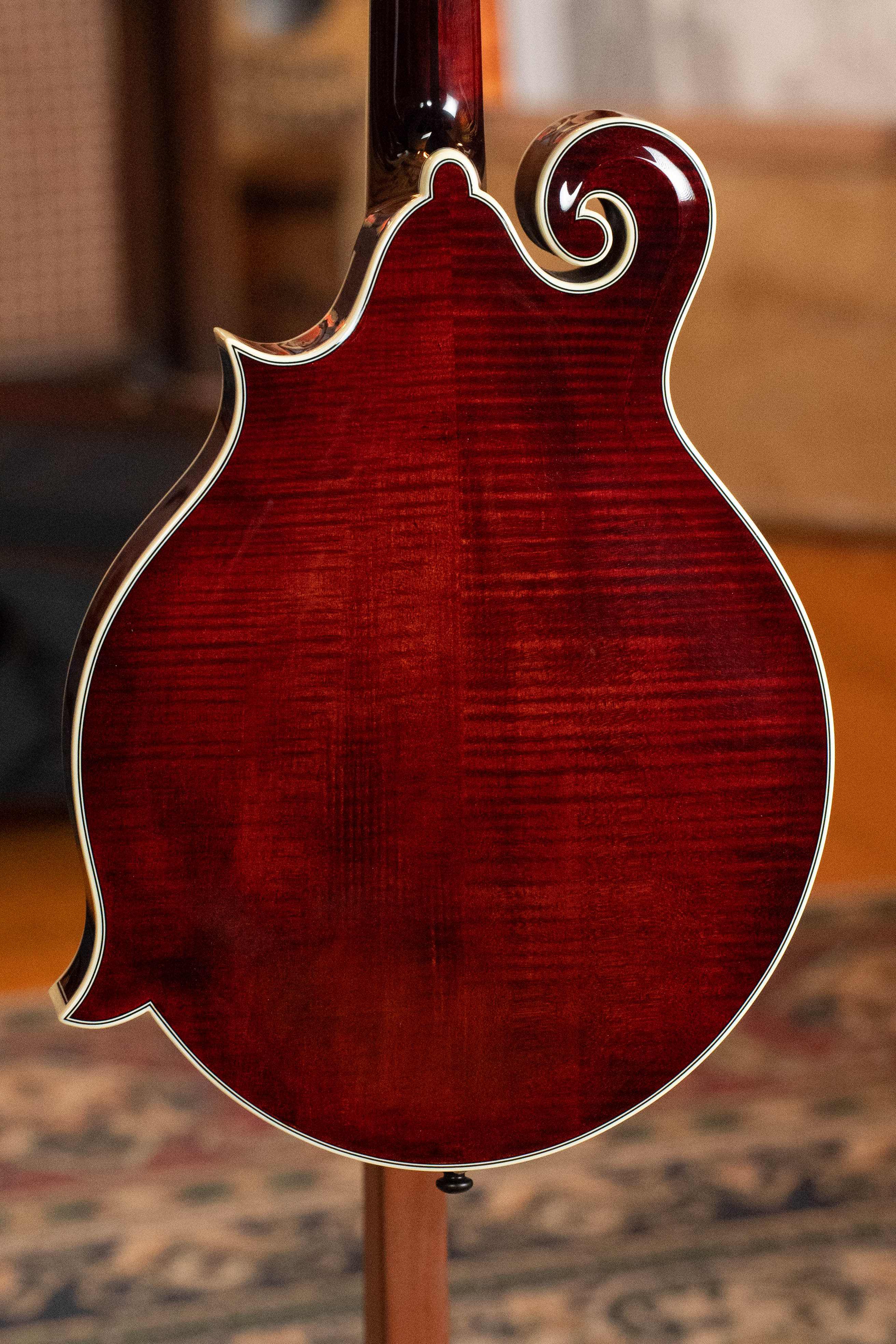 Bourgeois M5-F-BT Aged-Tone Adirondack/Maple Black Top F-Style Mandolin #8103