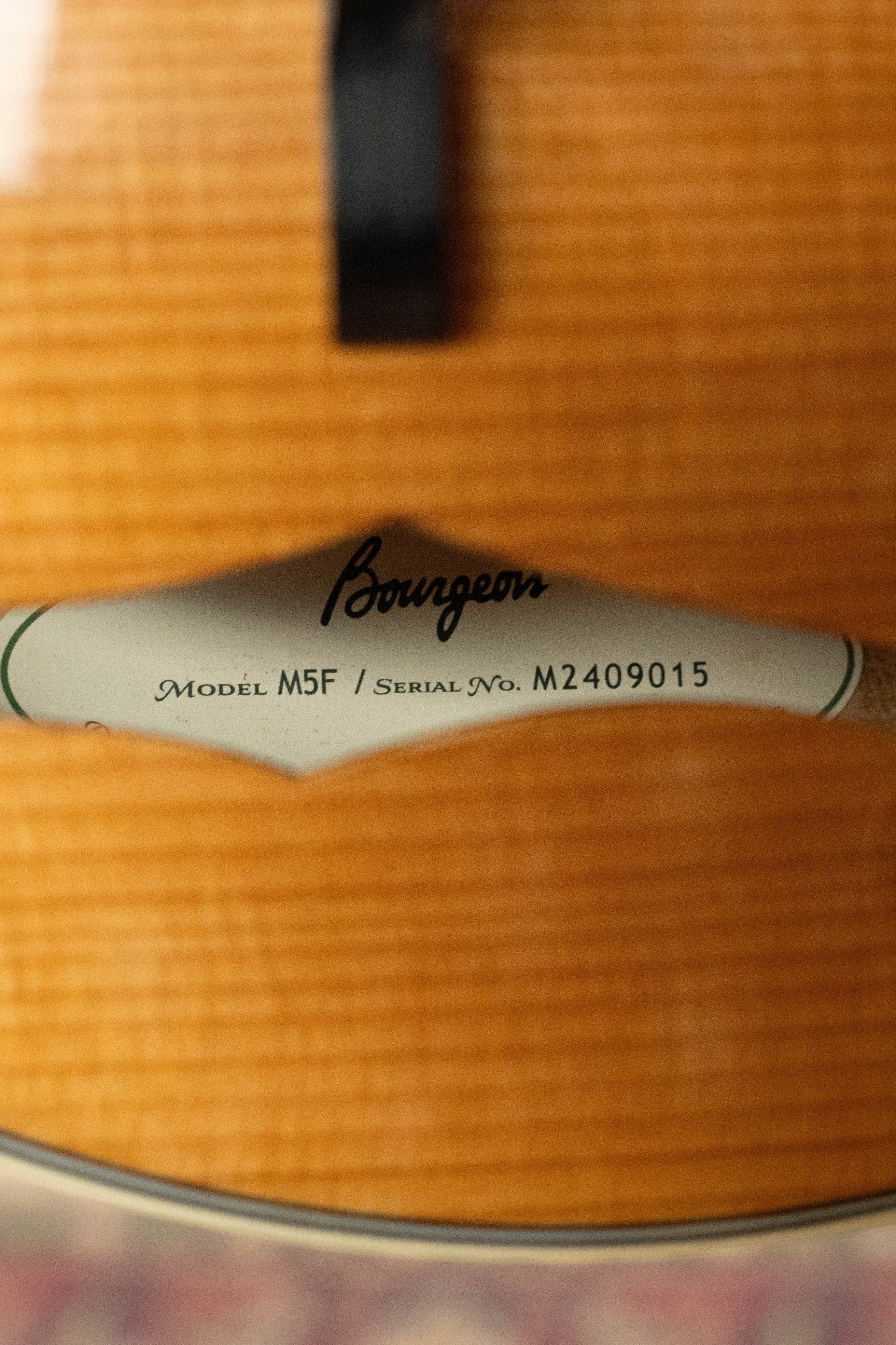 Bourgeois M5-F Aged-Tone Adirondack/Maple F-Style Mandolin #9015