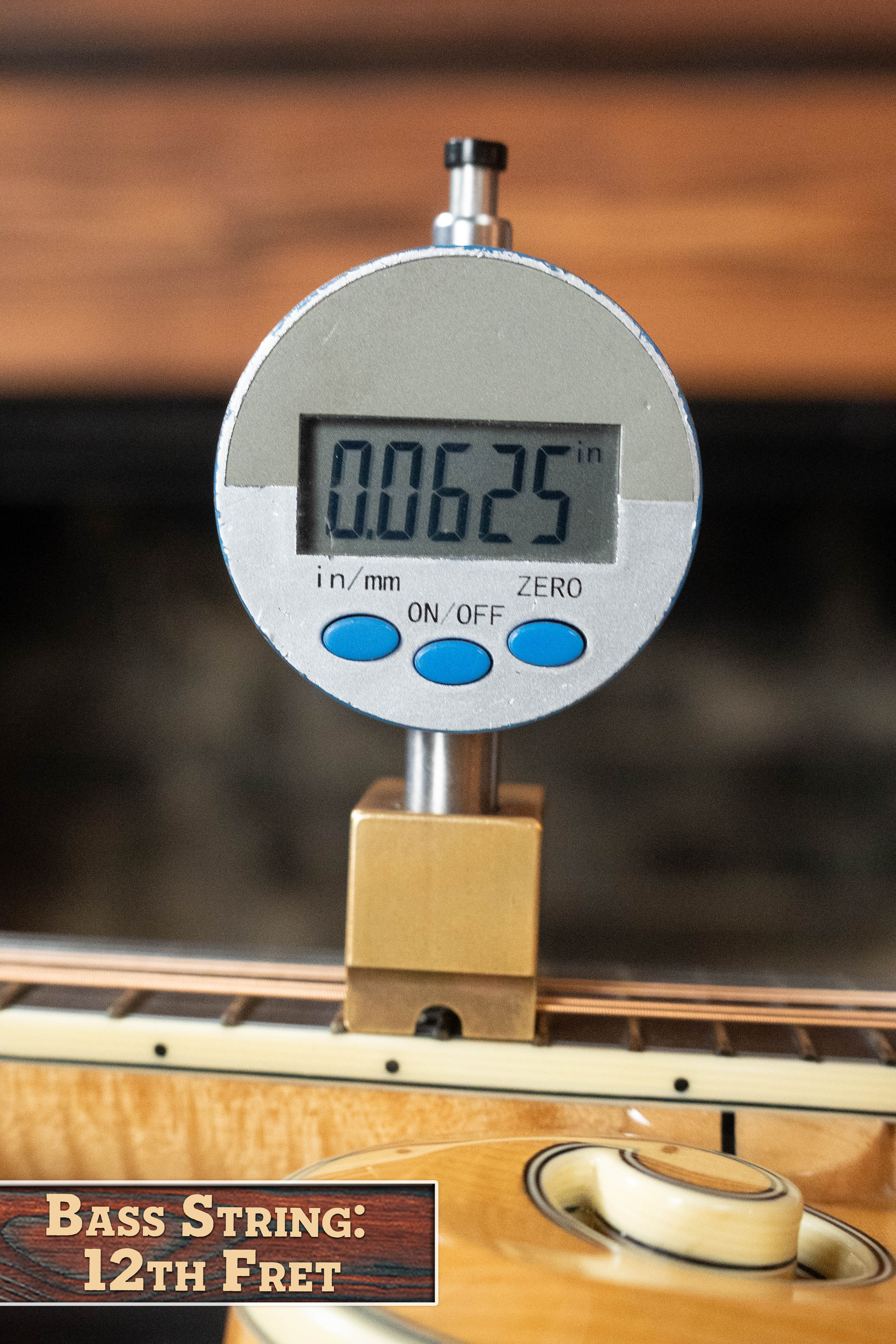 Bourgeois M5-F Aged-Tone Adirondack/Maple F-Style Mandolin #9017