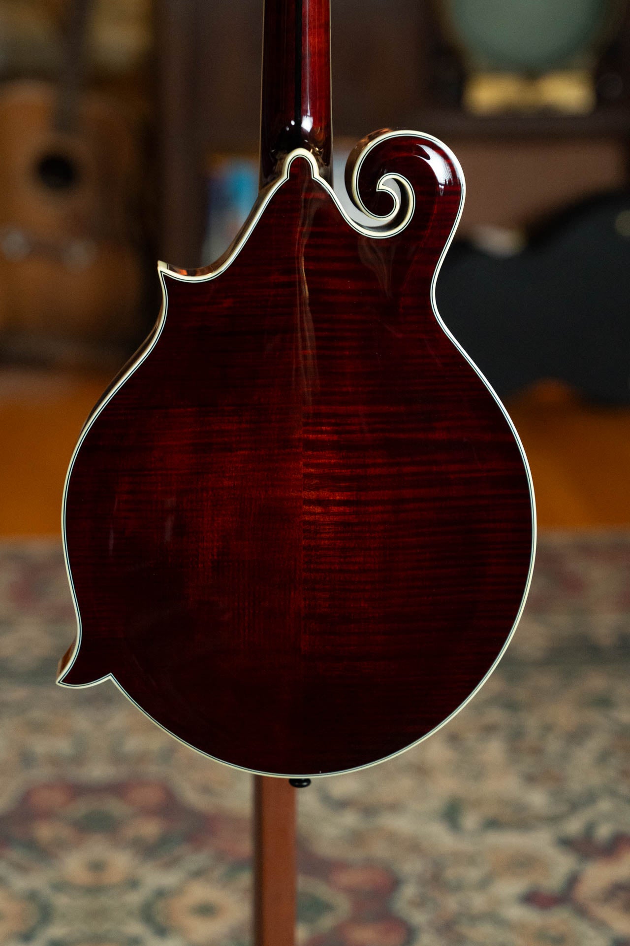 Bourgeois TAS Exclusive M5-F-CR Aged-Tone Adirondack/Maple Cordovan Red F-Style Mandolin #2140