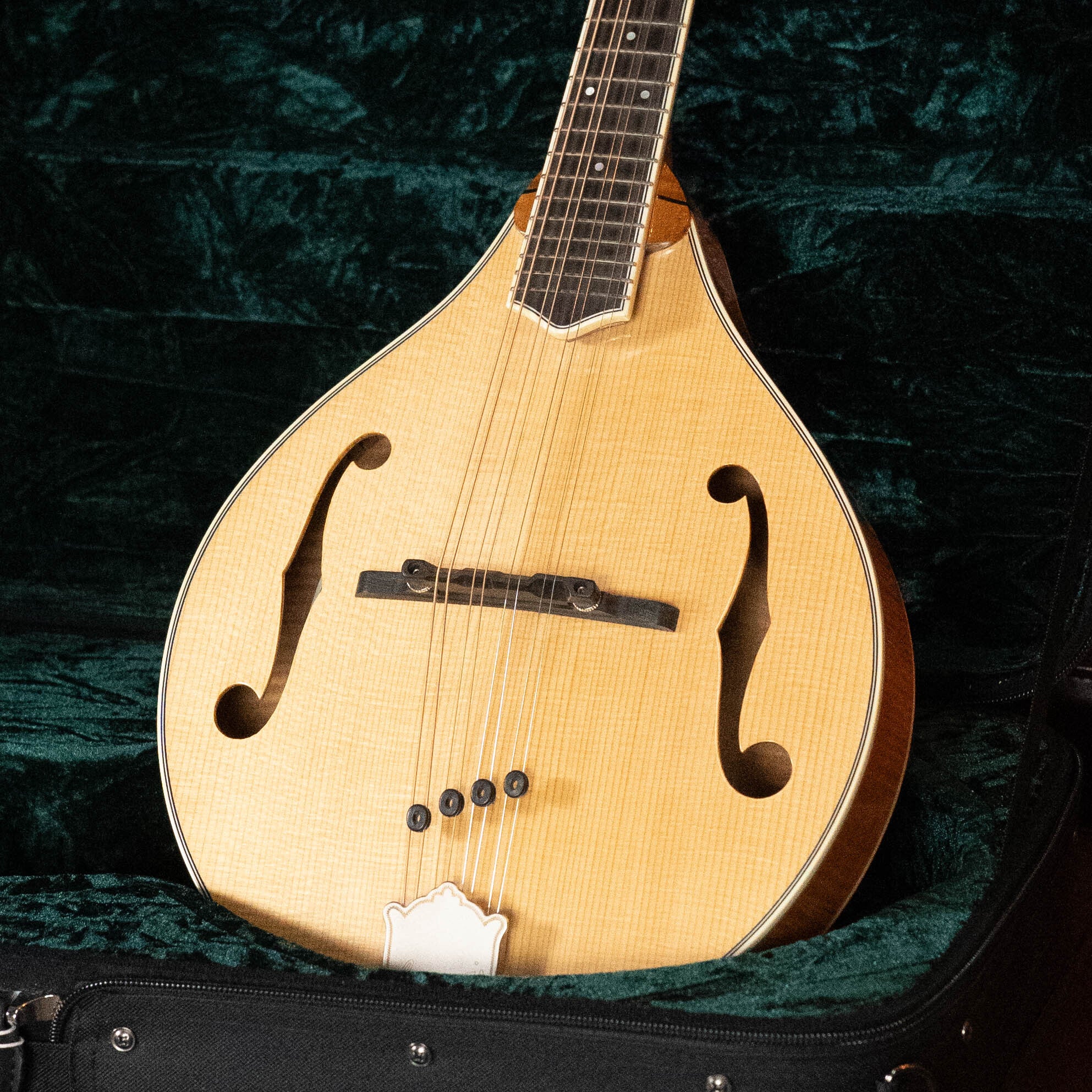 Bourgeois M5-A Adirondack/Maple A-Style Mandolin #2008