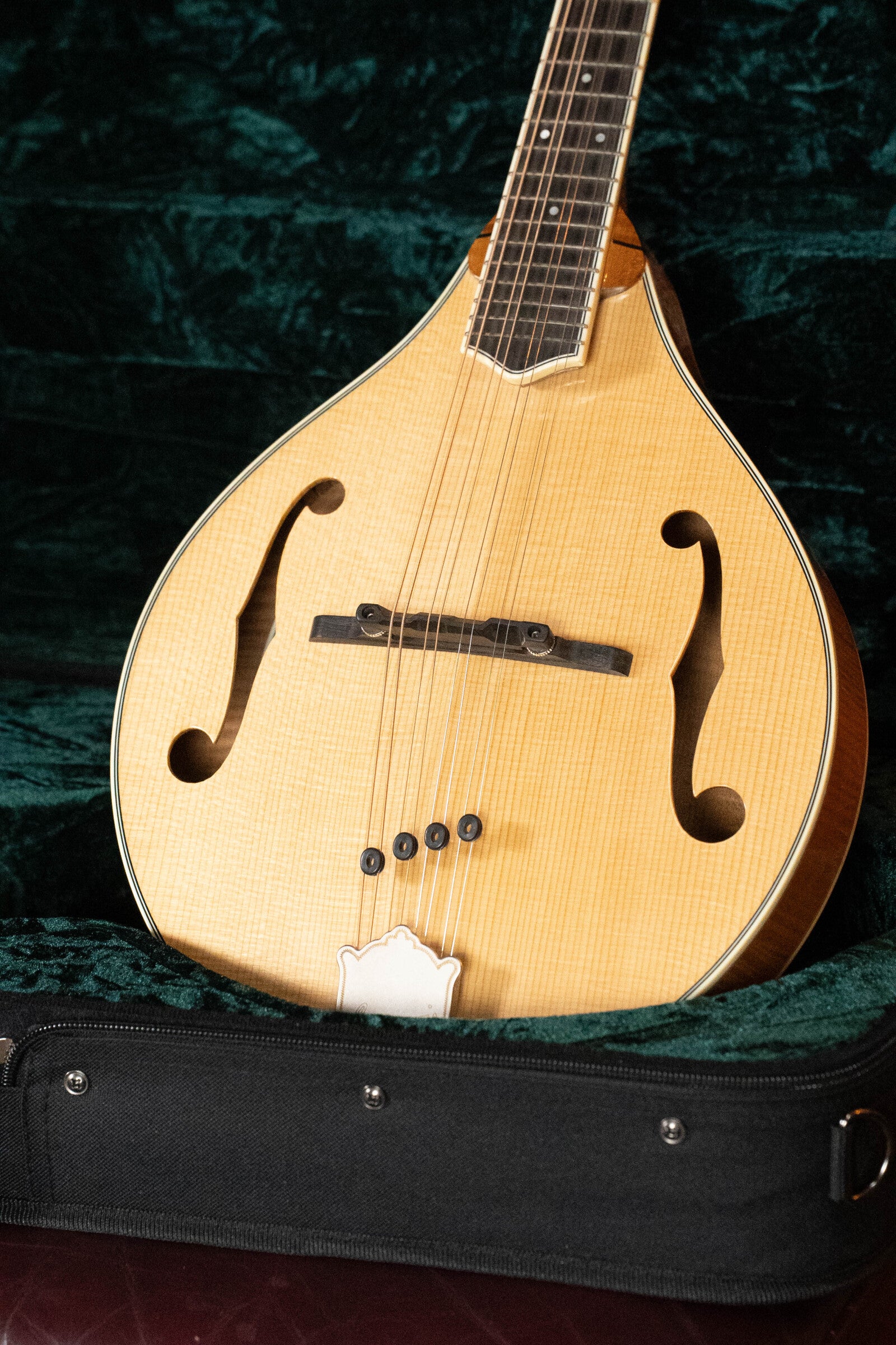 Bourgeois M5-A Adirondack/Maple A-Style Mandolin #2008