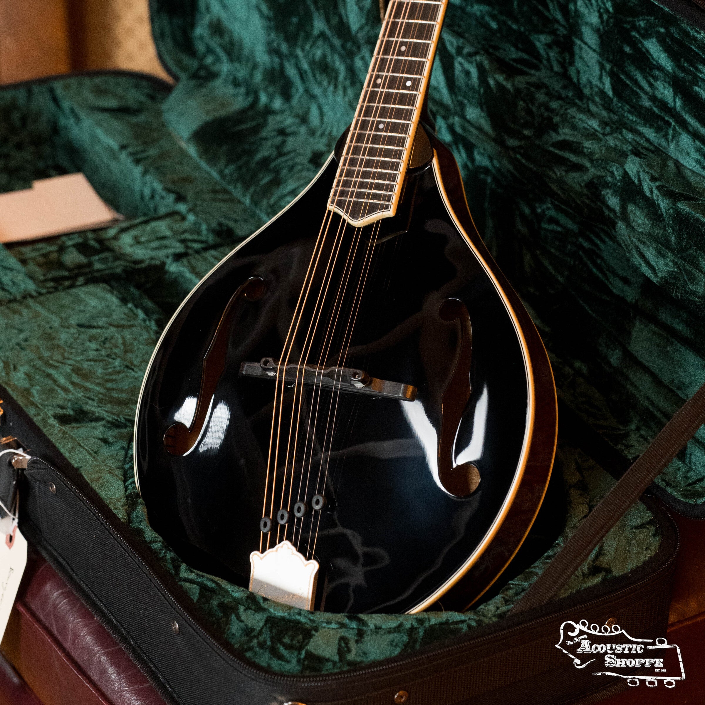 Bourgeois M5-A-BT Aged-Tone Black Top A-Style Mandolin #2019