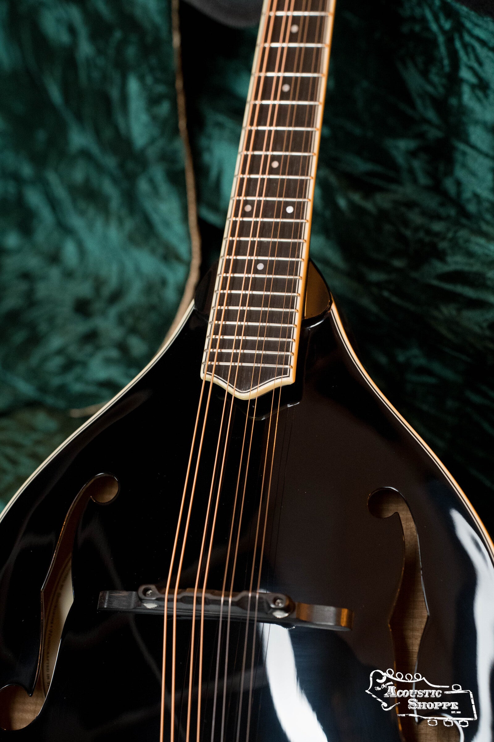 Bourgeois M5-A-BT Aged-Tone Black Top A-Style Mandolin #2019