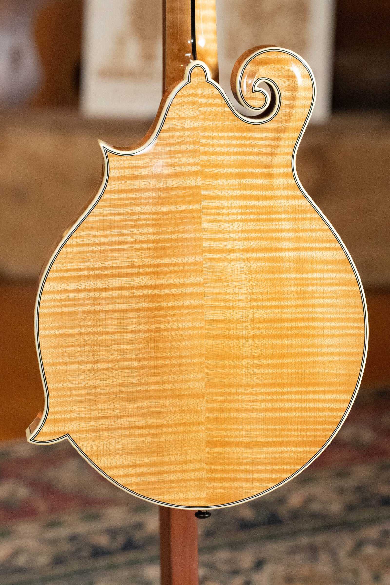 Bourgeois M5-F Aged-Tone Adirondack/Maple F-Style Mandolin #9122