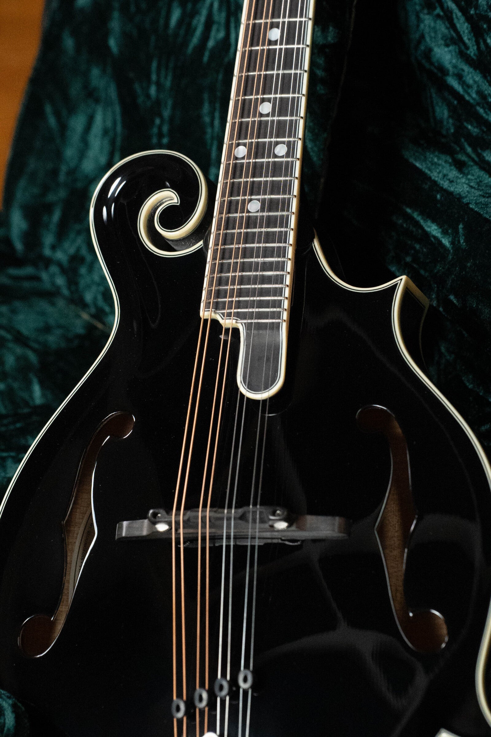 Bourgeois M5-F-BT Aged-Tone Adirondack/Maple Black Top F-Style Mandolin #6111