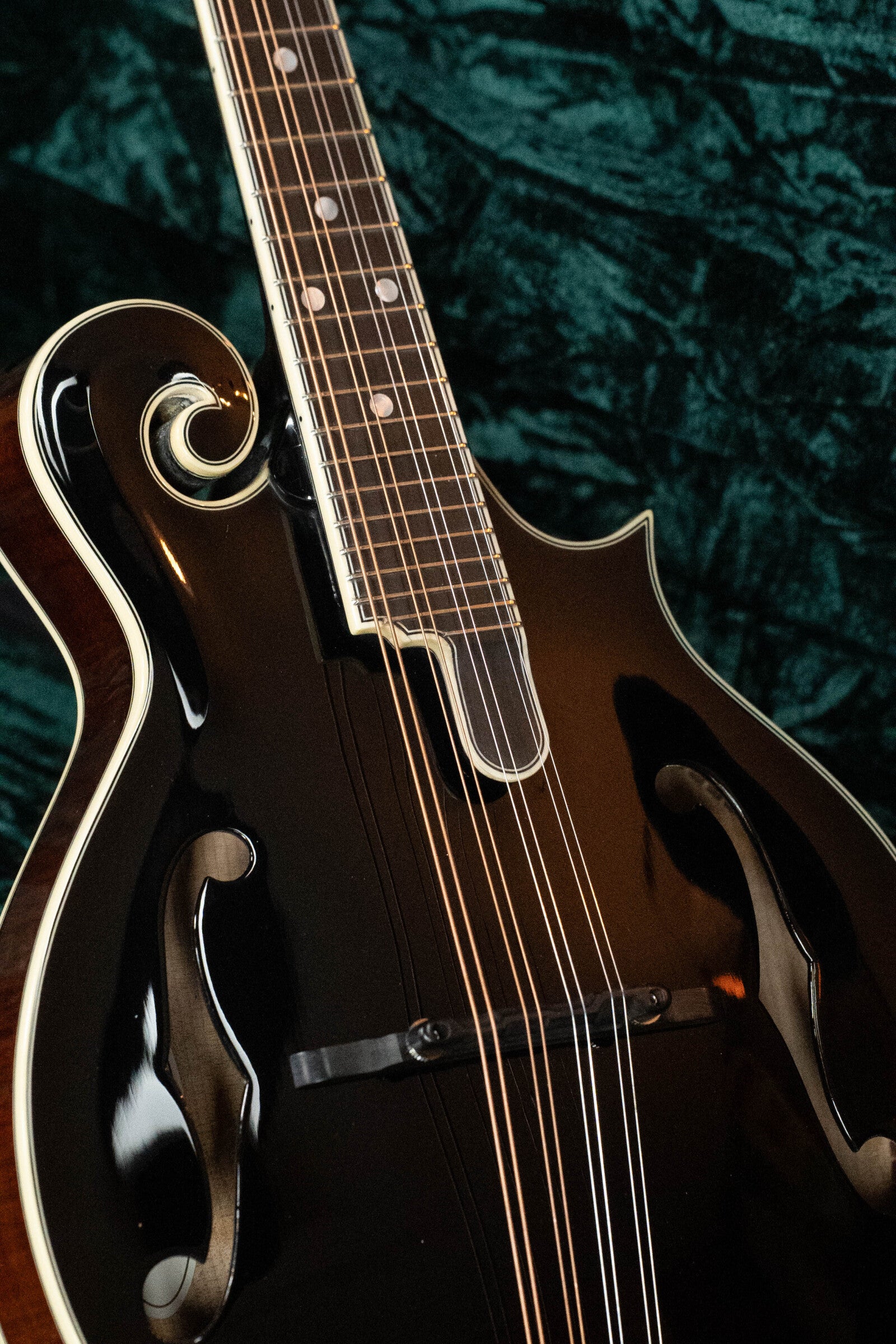 Bourgeois Limited Chocolate M5-F-BT Aged-Tone Adirondack/Maple Black Top F-Style Mandolin #6113