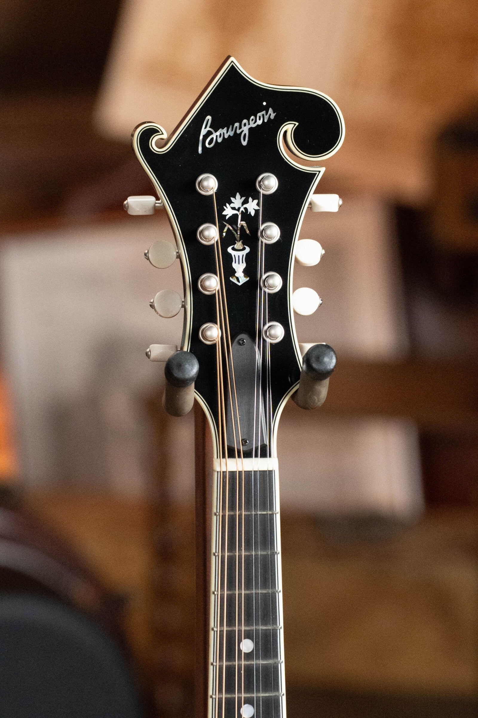 Bourgeois Limited Chocolate M5-F-BT Aged-Tone Adirondack/Maple Black Top F-Style Mandolin #6113