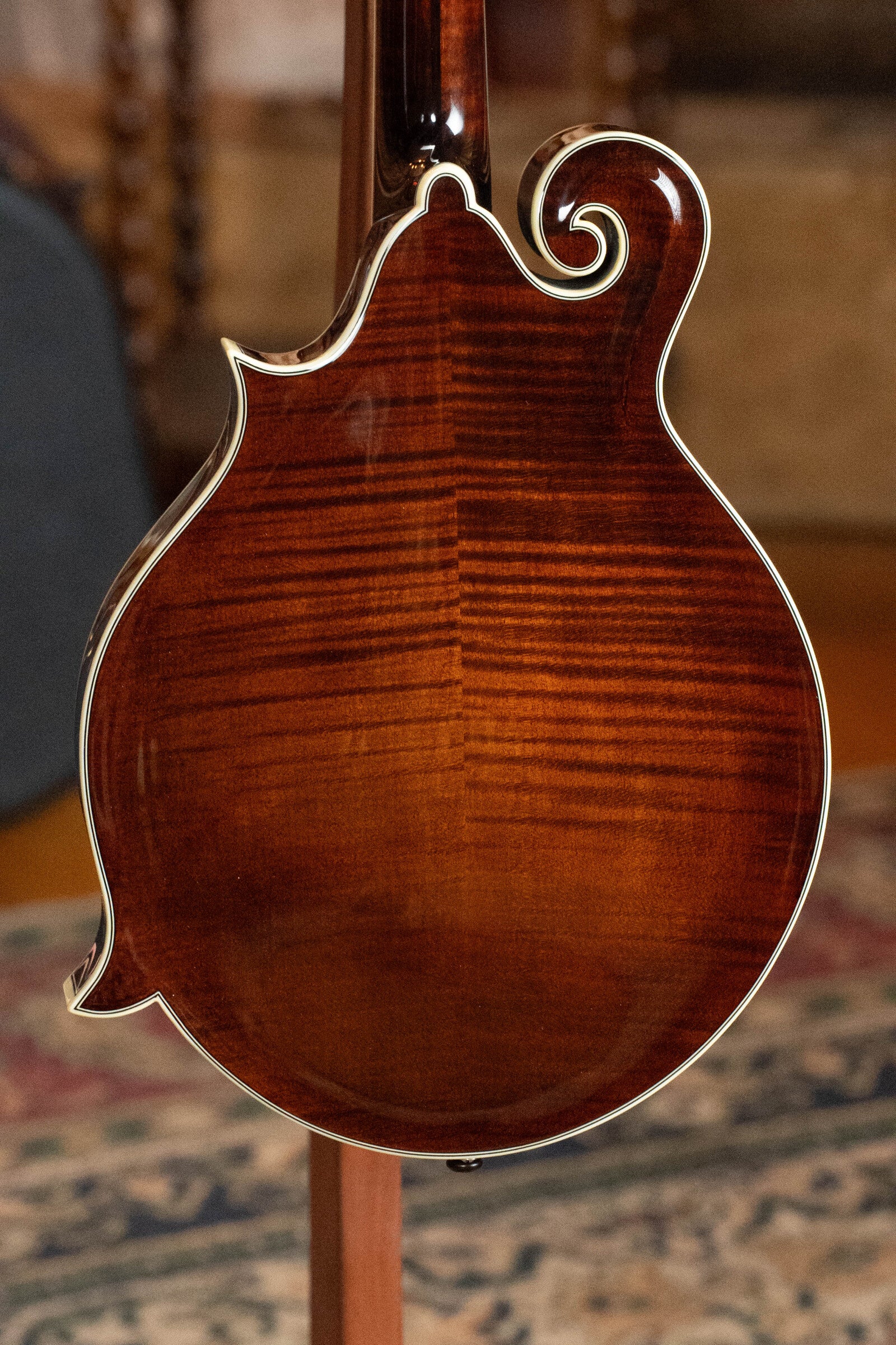Bourgeois Limited Chocolate M5-F-BT Aged-Tone Adirondack/Maple Black Top F-Style Mandolin #6113