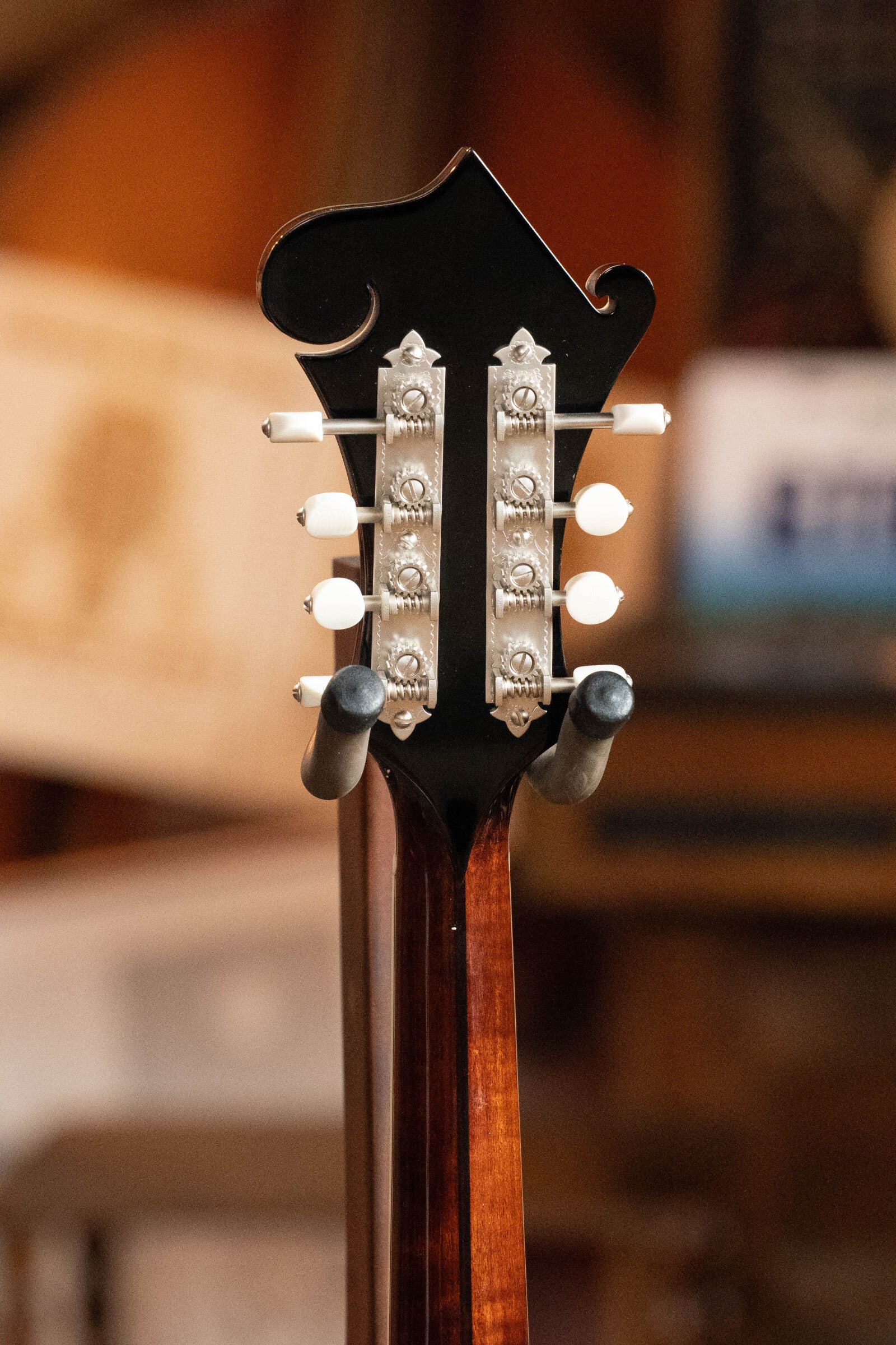 Bourgeois Limited Chocolate M5-F-BT Aged-Tone Adirondack/Maple Black Top F-Style Mandolin #6113