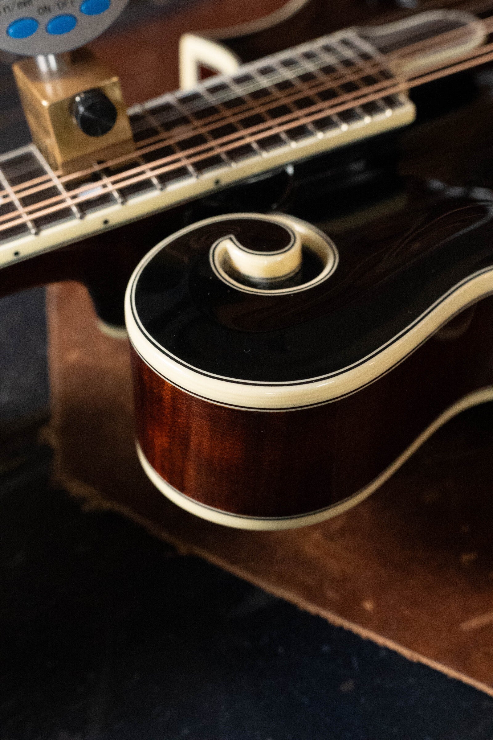 Bourgeois Limited Chocolate M5-F-BT Aged-Tone Adirondack/Maple Black Top F-Style Mandolin #6113