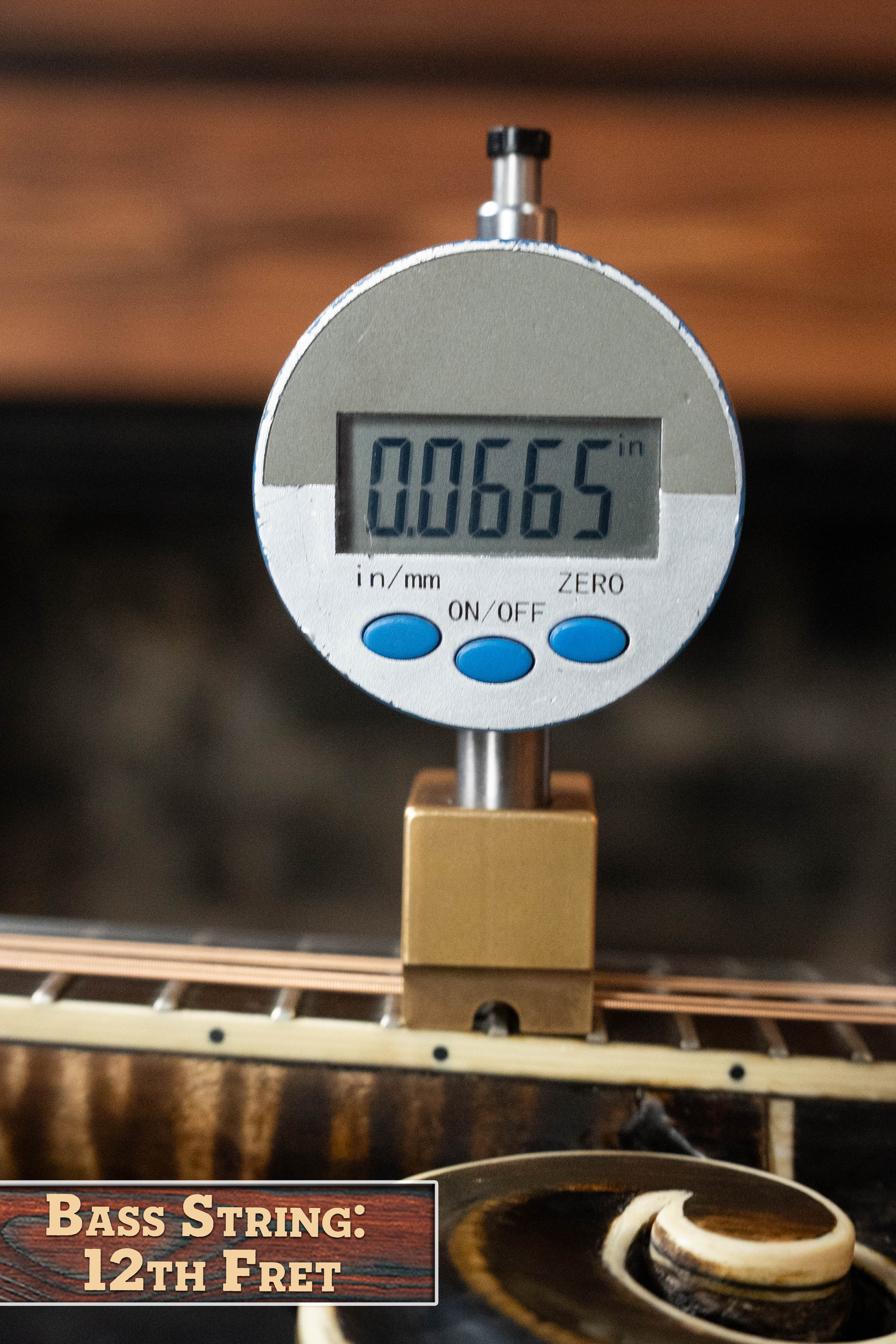 Boyd Adirondack/Maple Distressed Finish F-Style Mandolin #0015