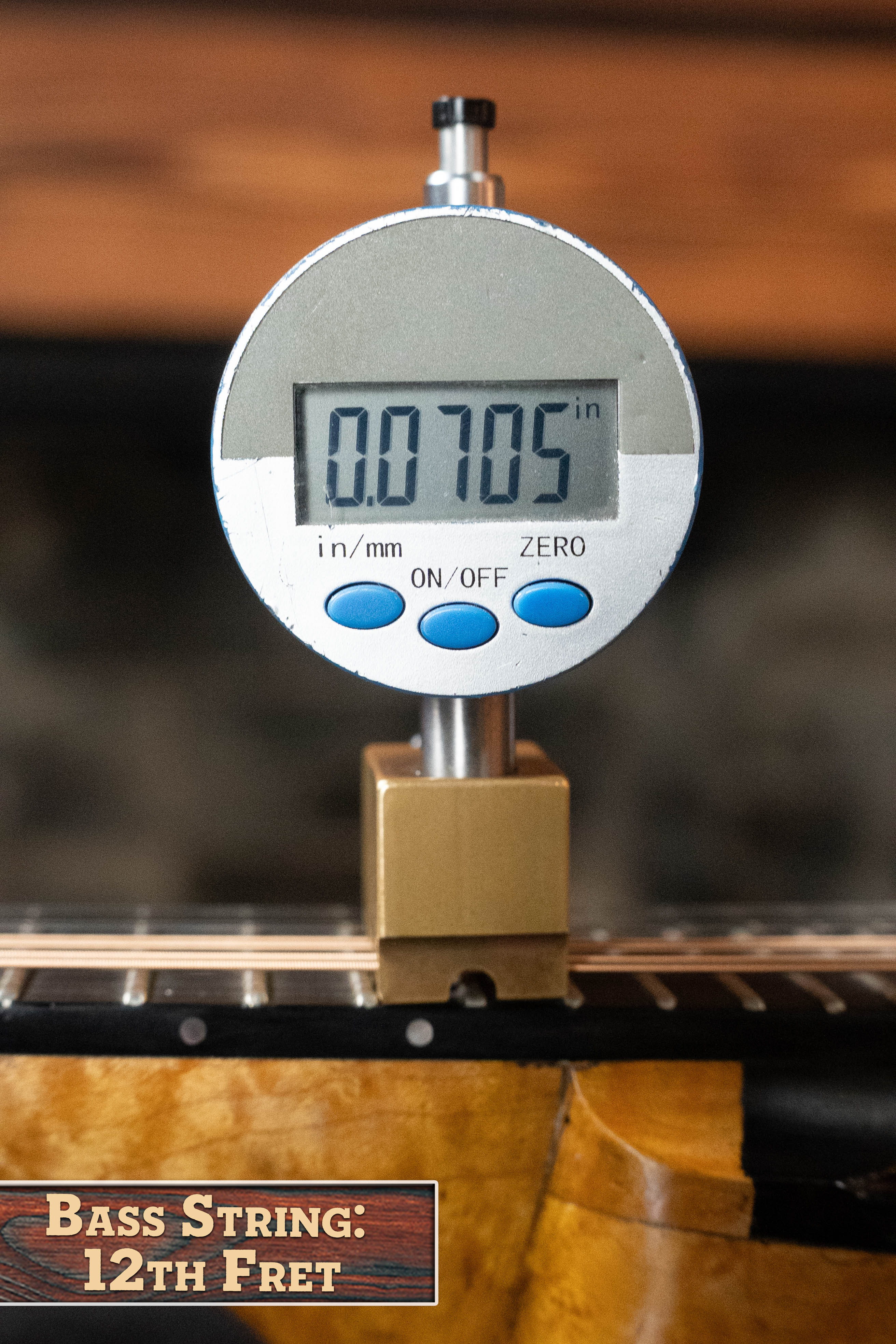 Boyd Blackbird Adirondack/Maple Black Lacquered A-Style Mandolin #0011