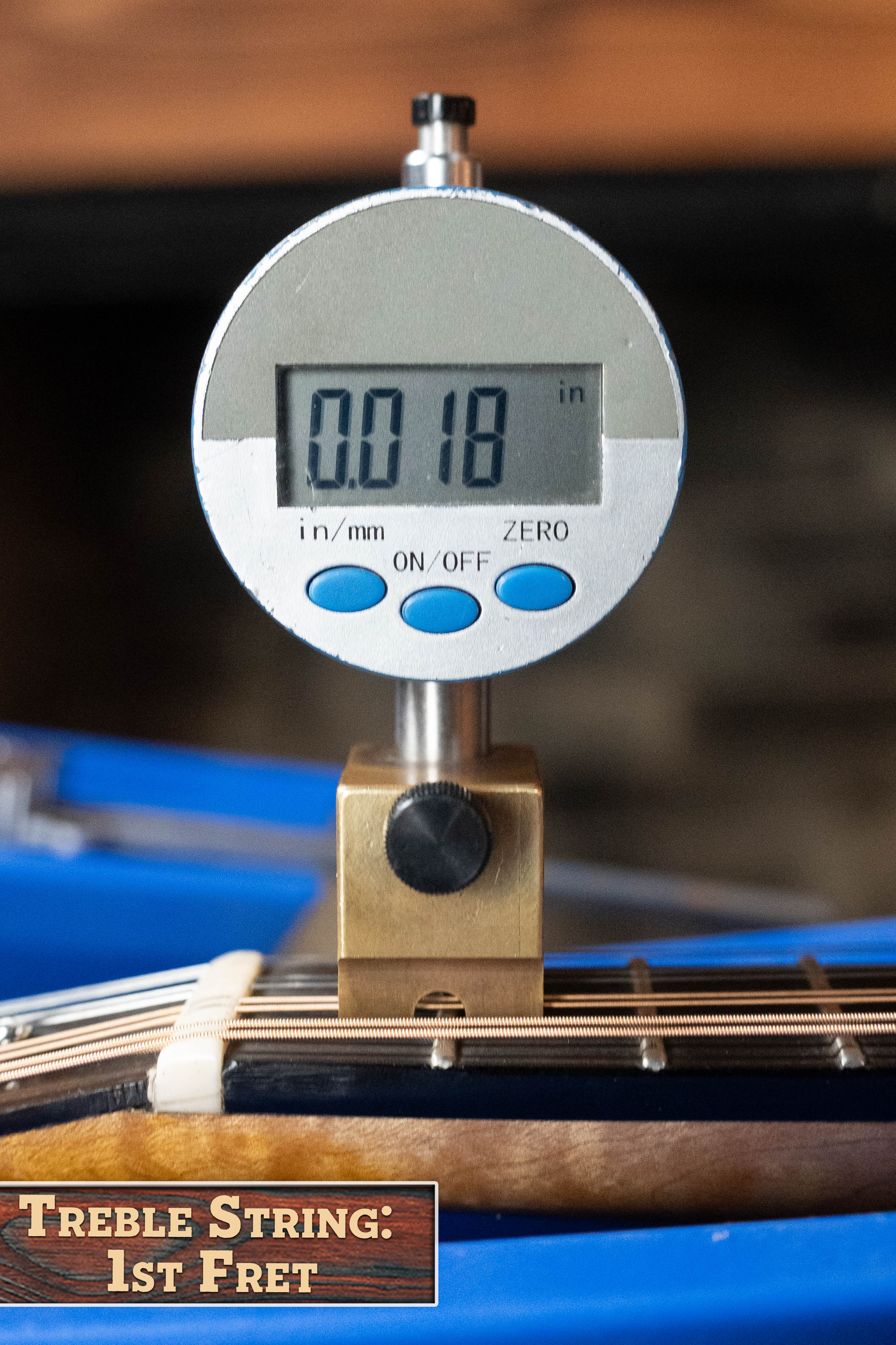 Boyd Blackbird Adirondack/Maple Black Lacquered A-Style Mandolin #0011