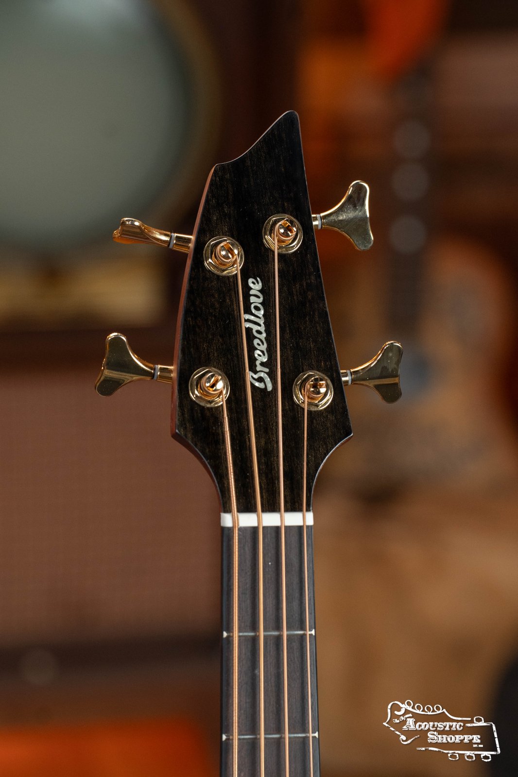 Breedlove Organic Solo Pro Concerto Red Cedar/African Mahogany Edgeburst Cutaway Acoustic Bass w/ Fishman Pickup #6054
