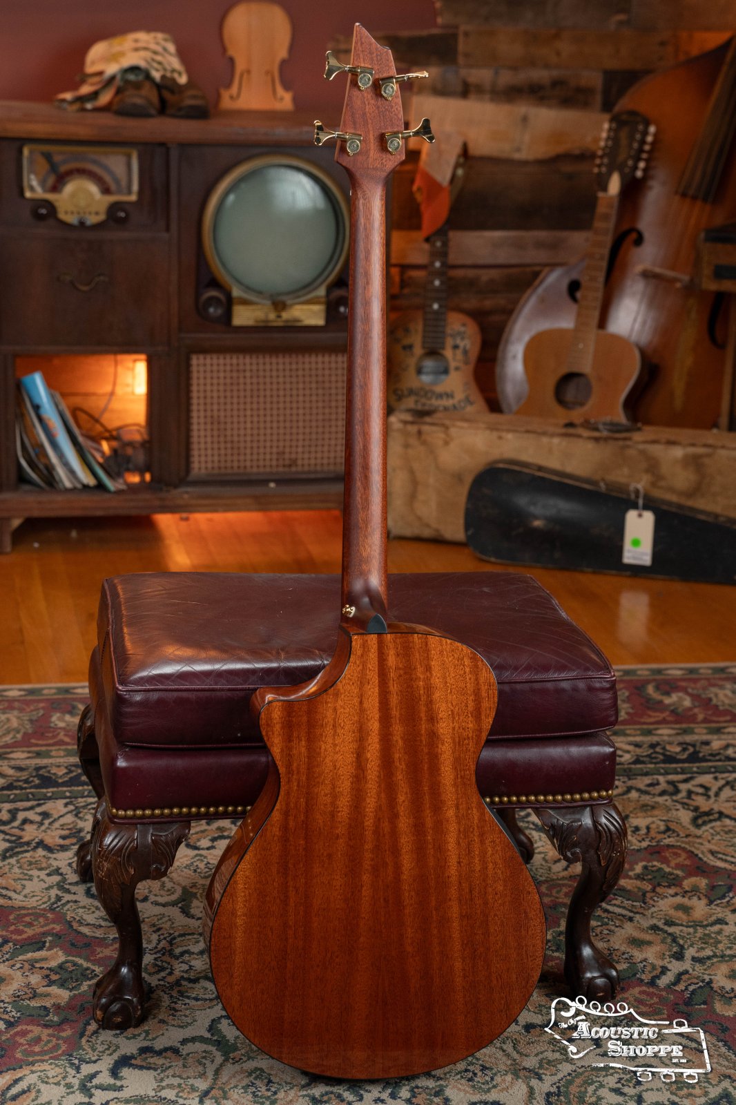 Breedlove Organic Solo Pro Concerto Red Cedar/African Mahogany Edgeburst Cutaway Acoustic Bass w/ Fishman Pickup #6054