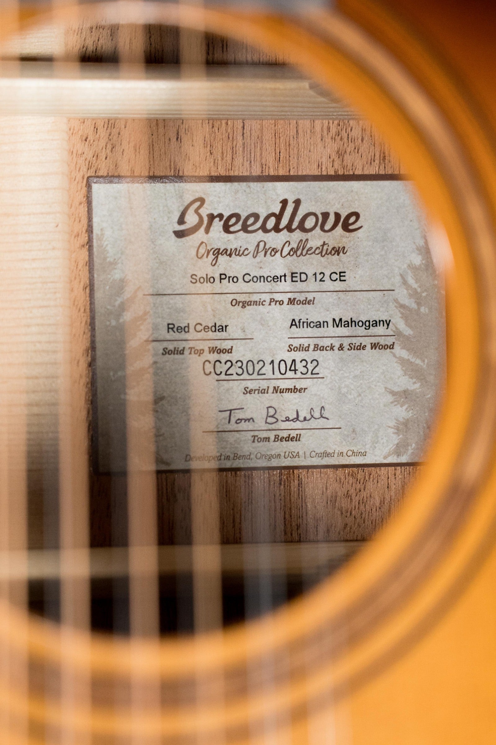 Breedlove Wildwood Pro Series All Mahogany Cutaway Dreadnought Concerto Suede Guitar w/Electronics #1832