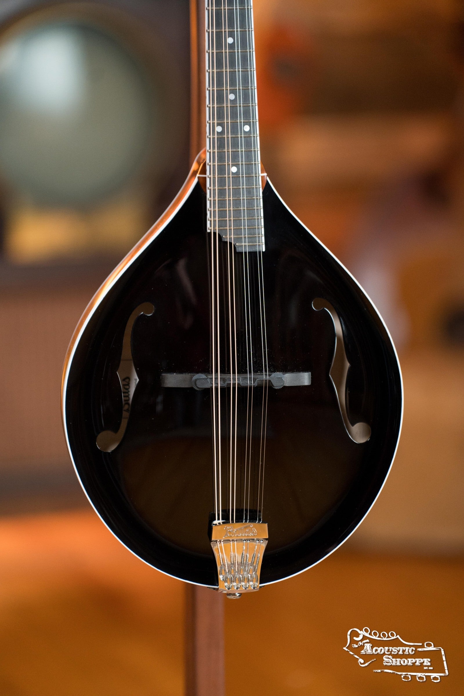 Bulas Carpathian Spruce/Curly Maple Black Top A-Style Acoustic Mandolin #0780