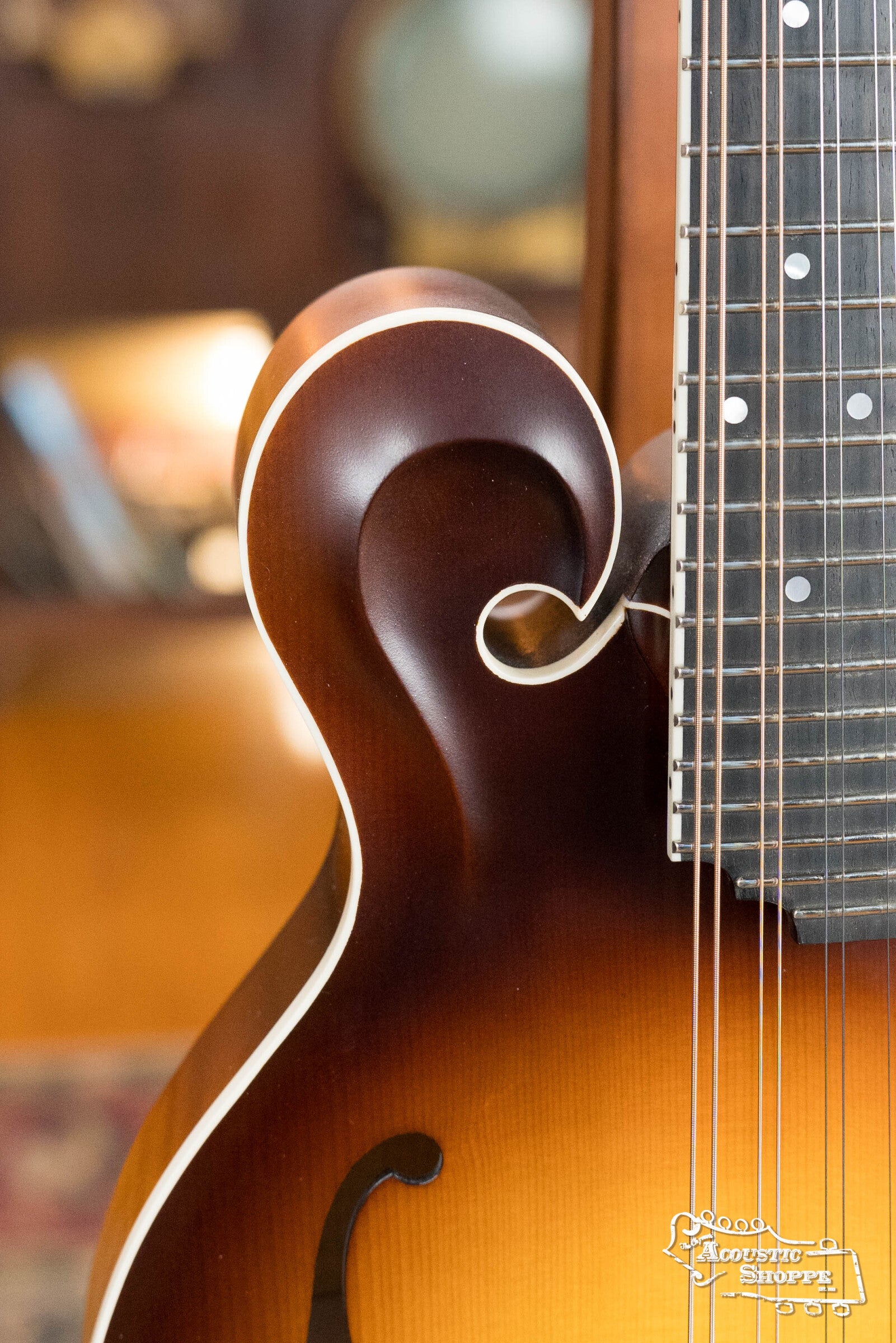 Bulas Carpathian Spruce/Curly Maple Tobacco Sunburst F-Style Mandolin #0793