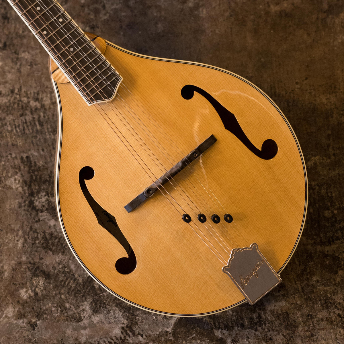 Mandolin Family Instruments | The Acoustic Shoppe