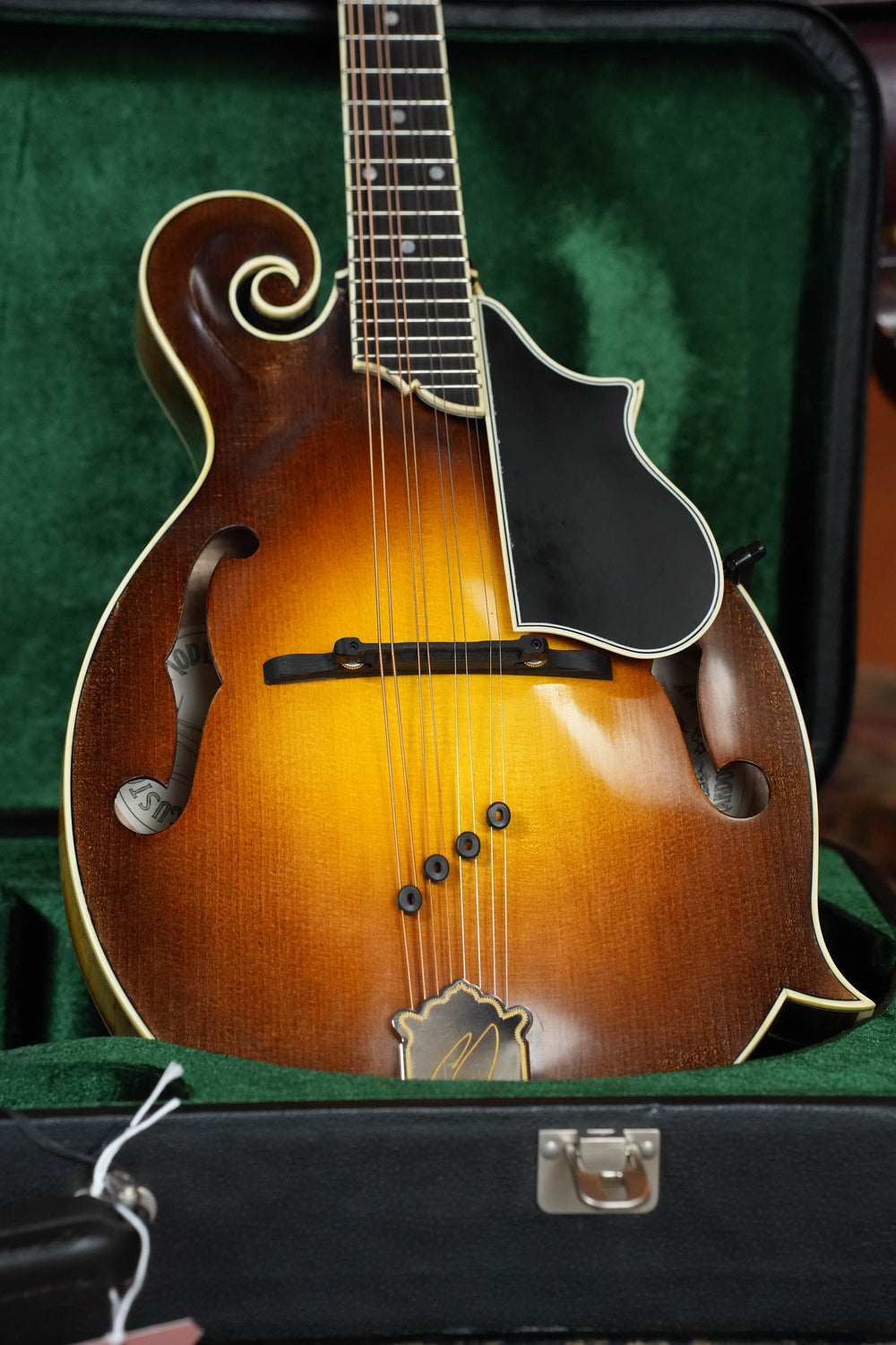 Limited Edition/Custom Build Mandolins