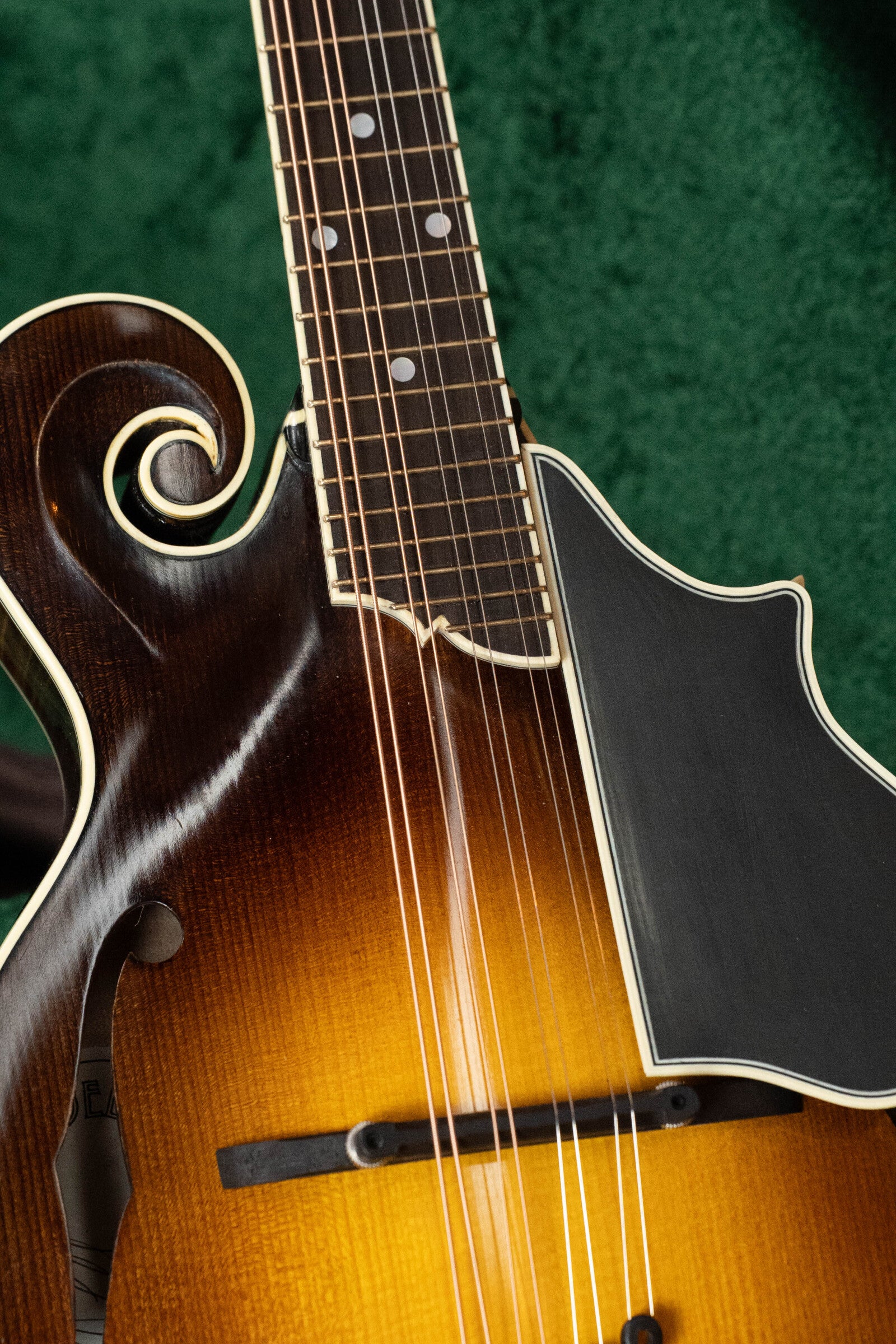 Cedar Mountain Lewandowski 2025 Red Spruce/Big Leaf Maple F-Style Mandolin w/Tobacco Sunburst #5080