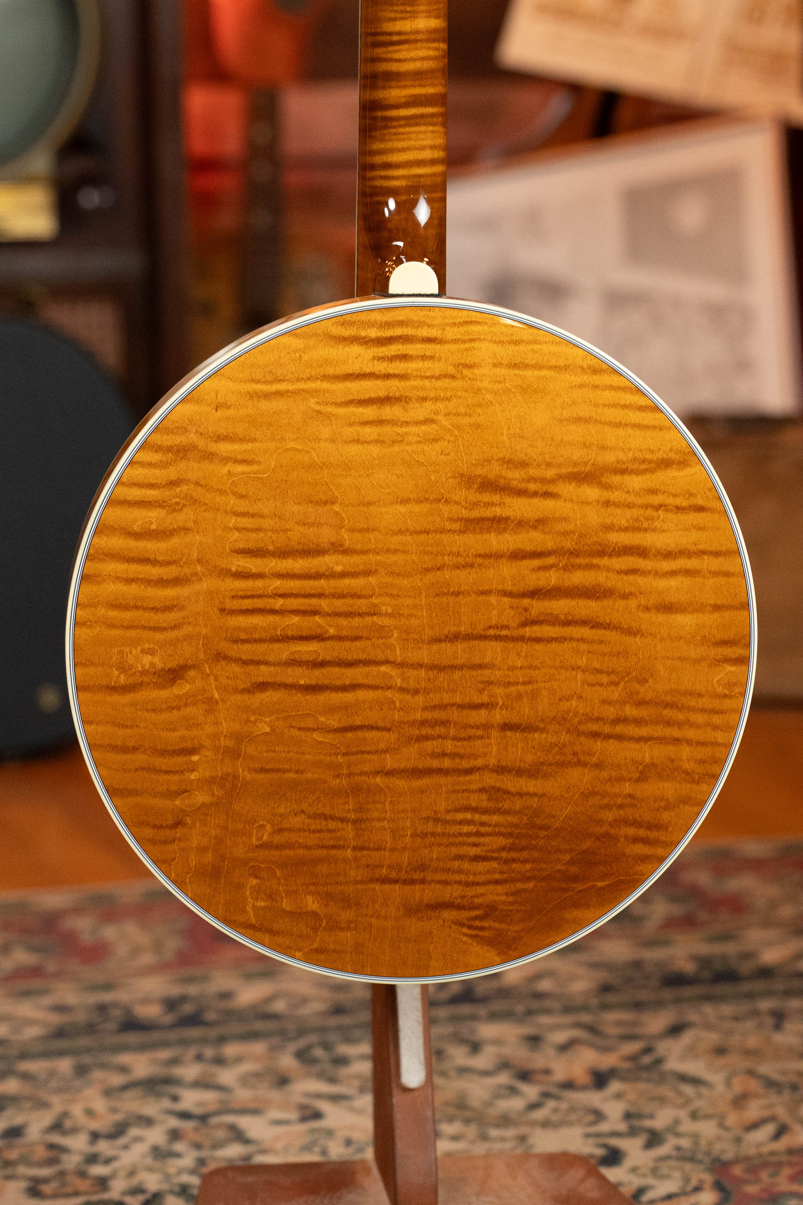 Deering Calico 5 String Curly Maple Resonator Banjo w/Spikes Installed #AX45